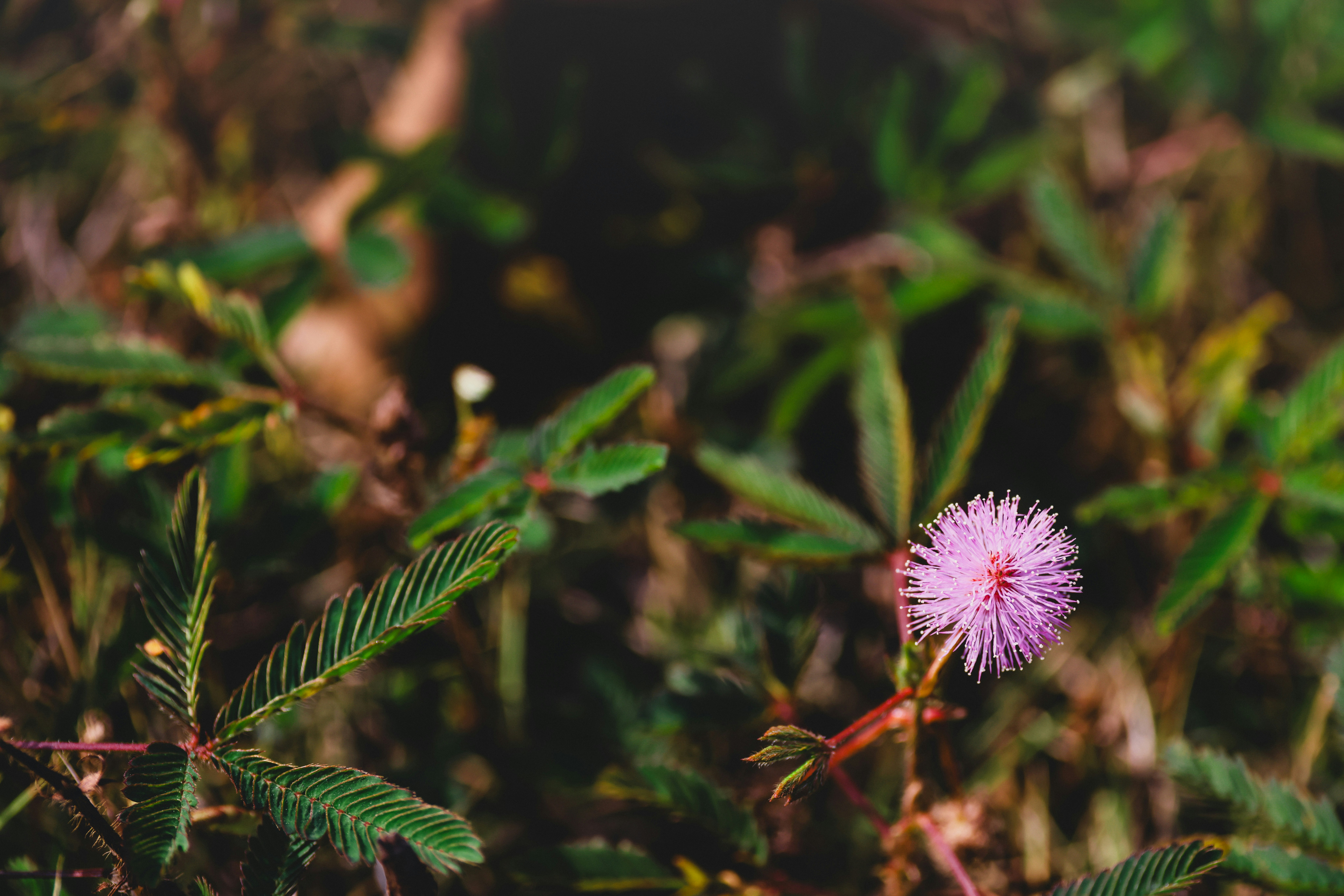 Photo by dickenslin76