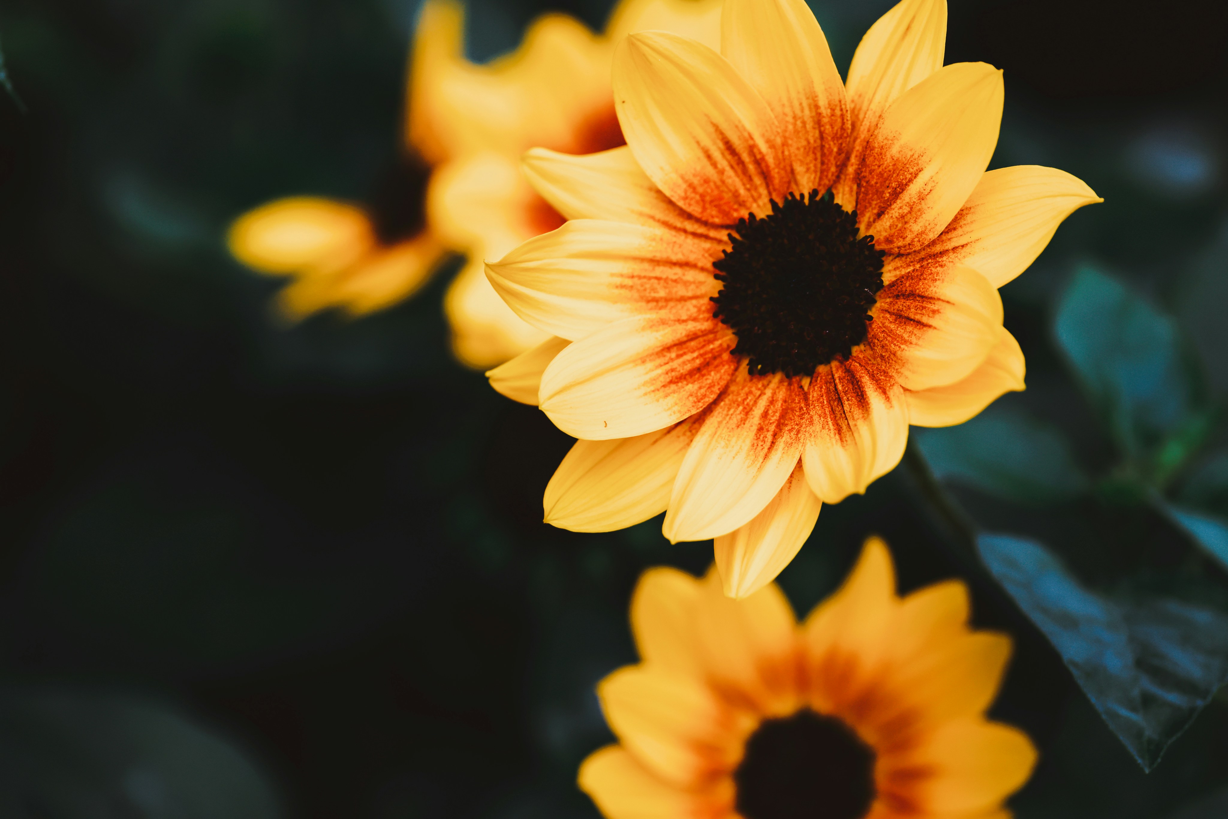 Photo by dickenslin76