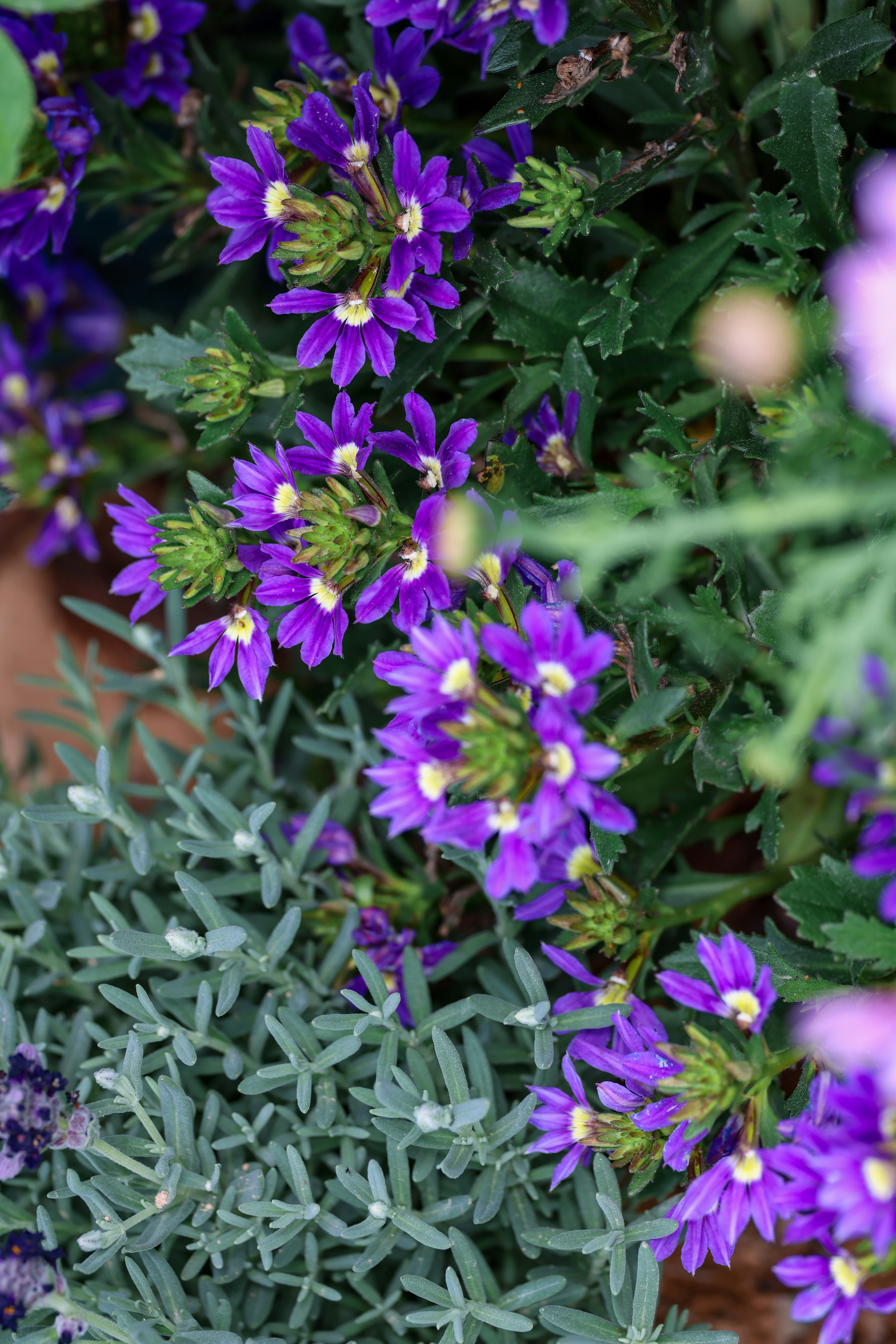 Photo by dickenslin76