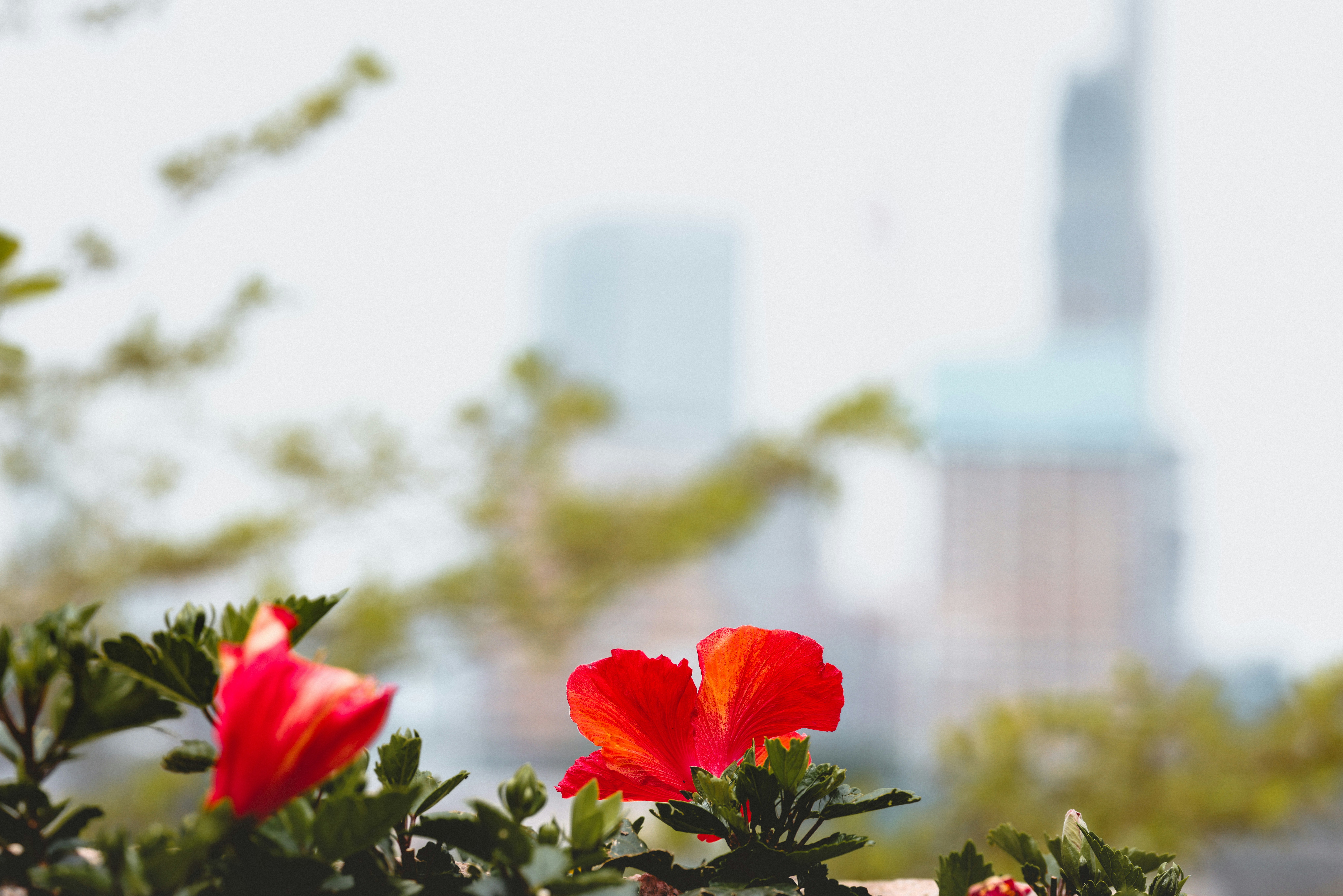 Photo by dickenslin76