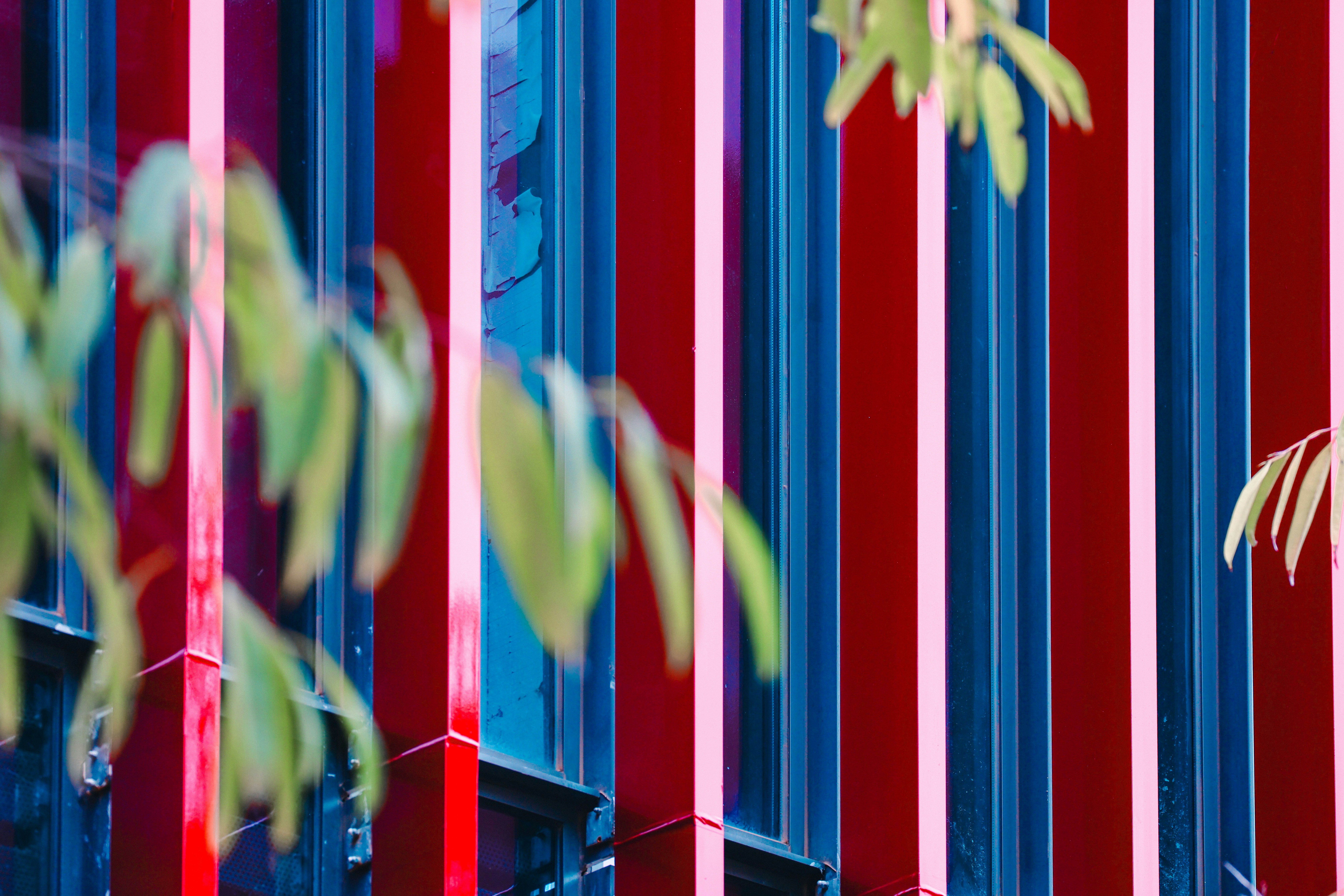 Photo by dickenslin76