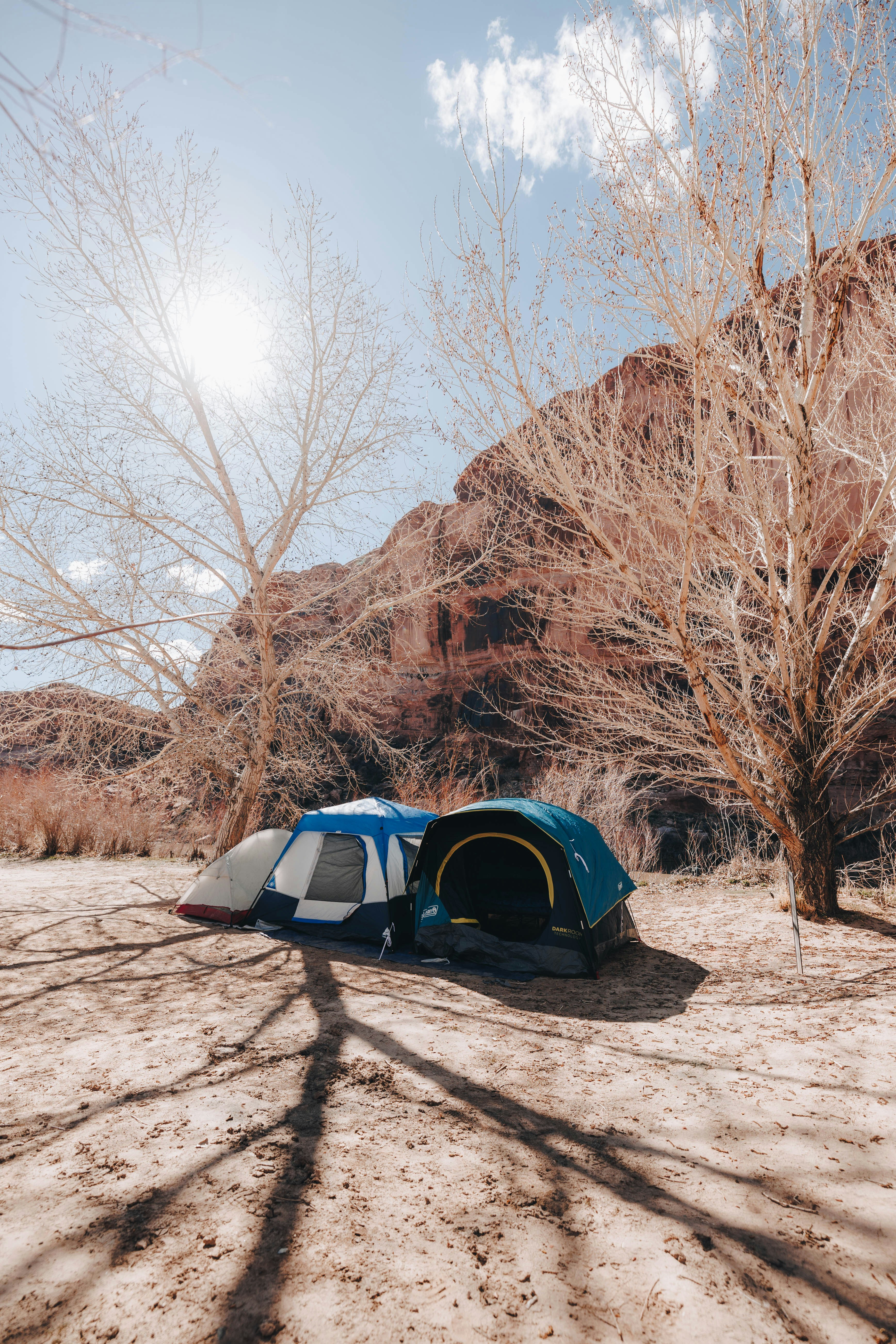 Photo by jeffersonsees