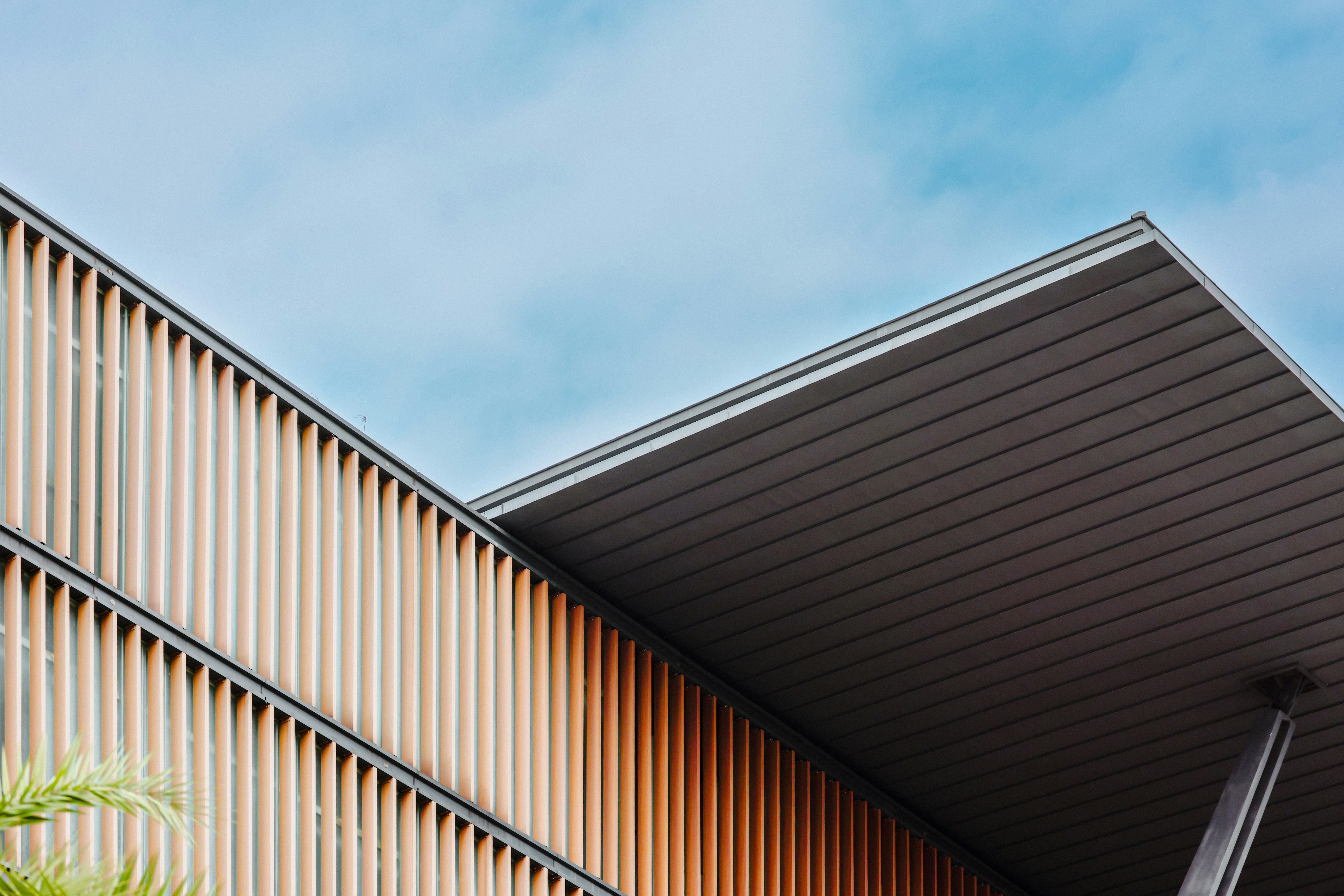 Photo by dickenslin76