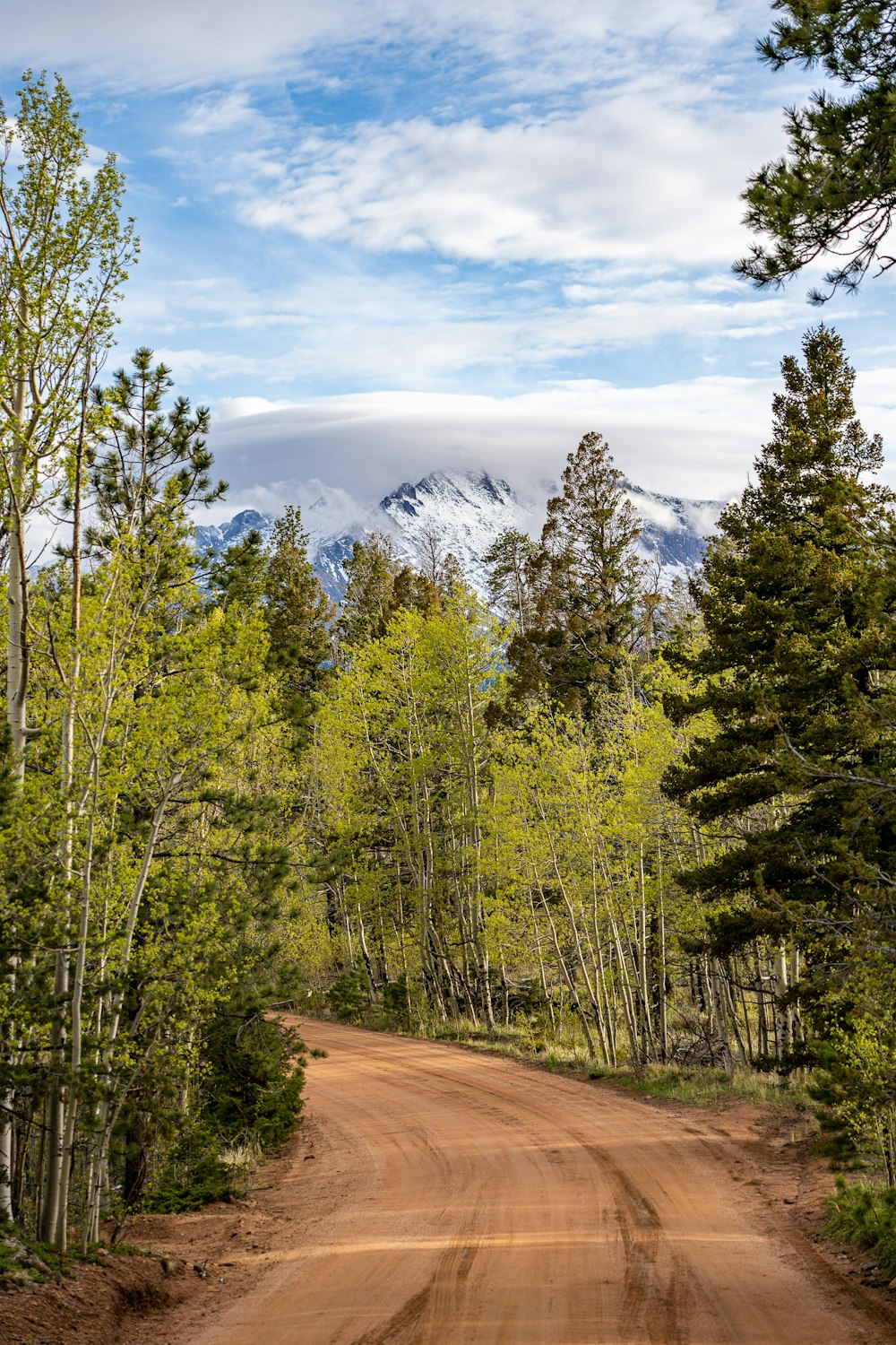 a dirt road surrounded by trees and mountains