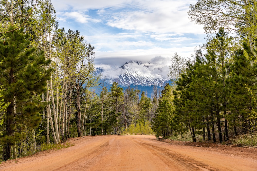 a dirt road surrounded by trees and mountains