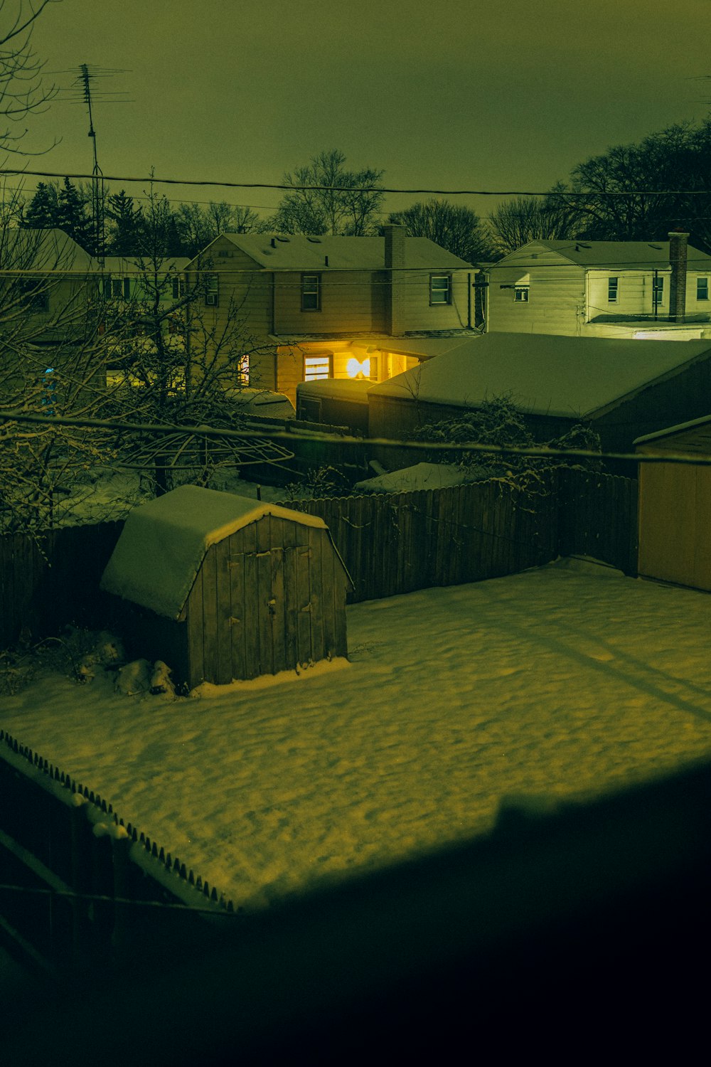 a snow covered yard at night with a house in the background