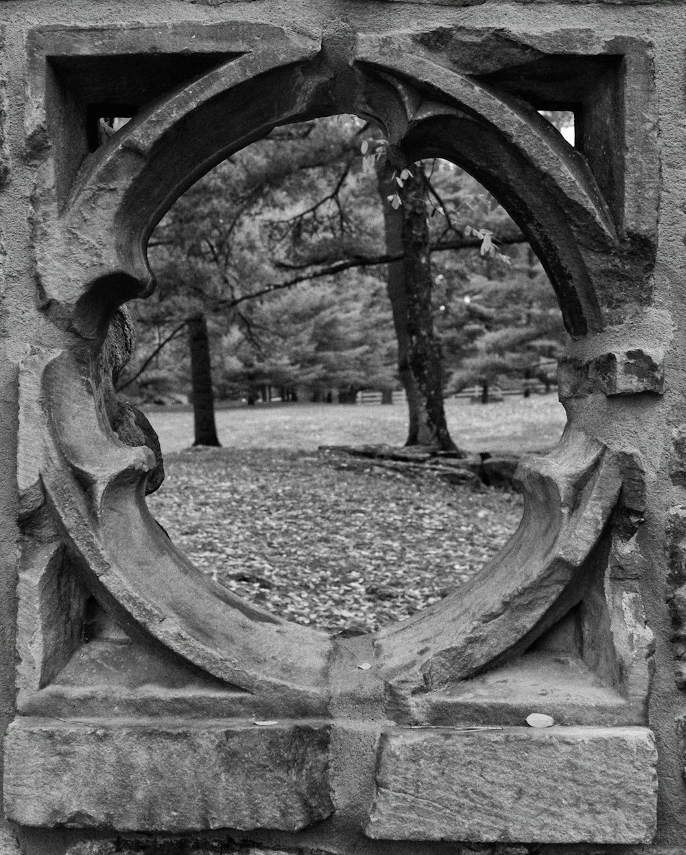 a stone window frame with a tree in the background