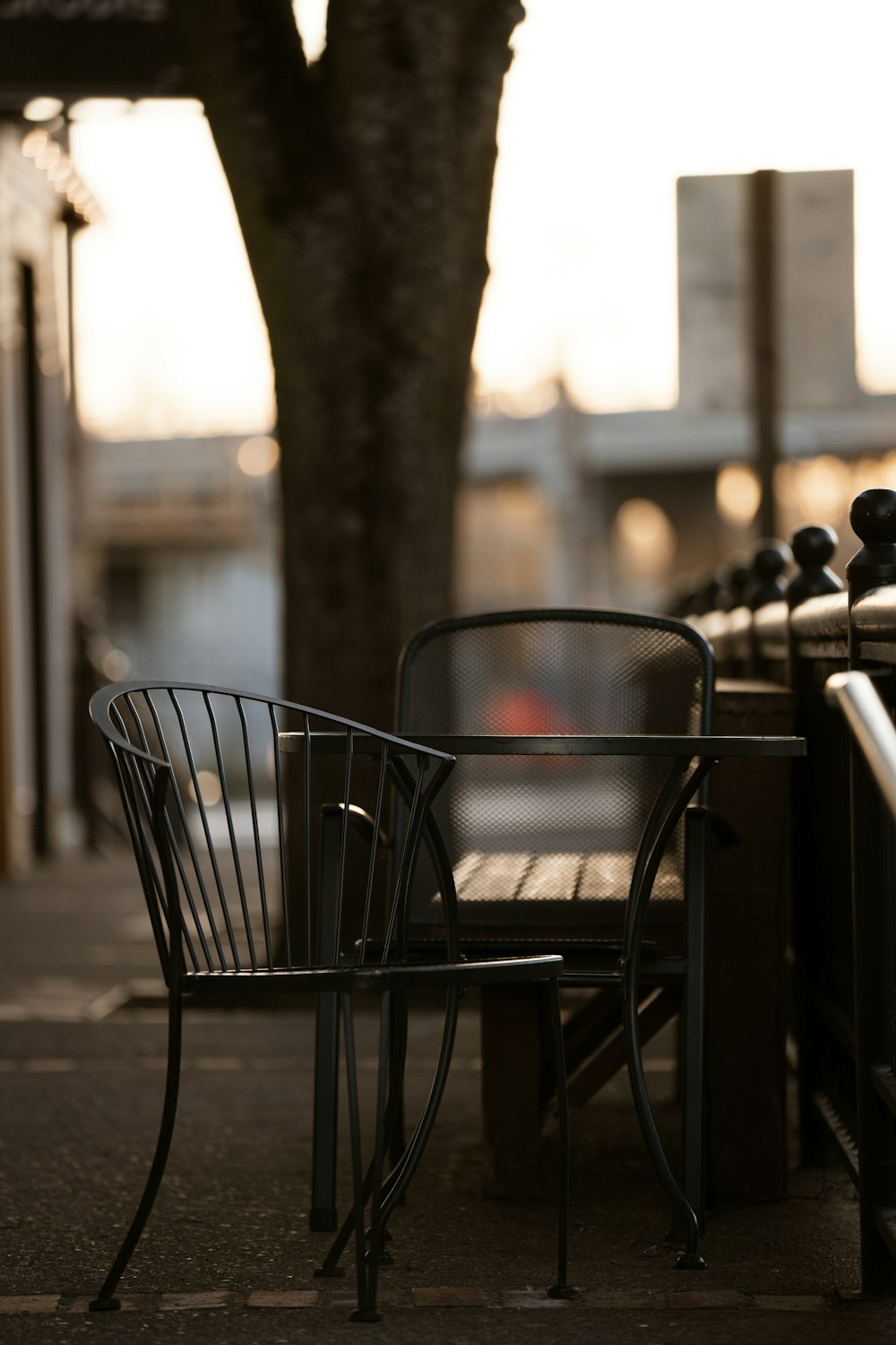 a couple of chairs sitting next to a tree