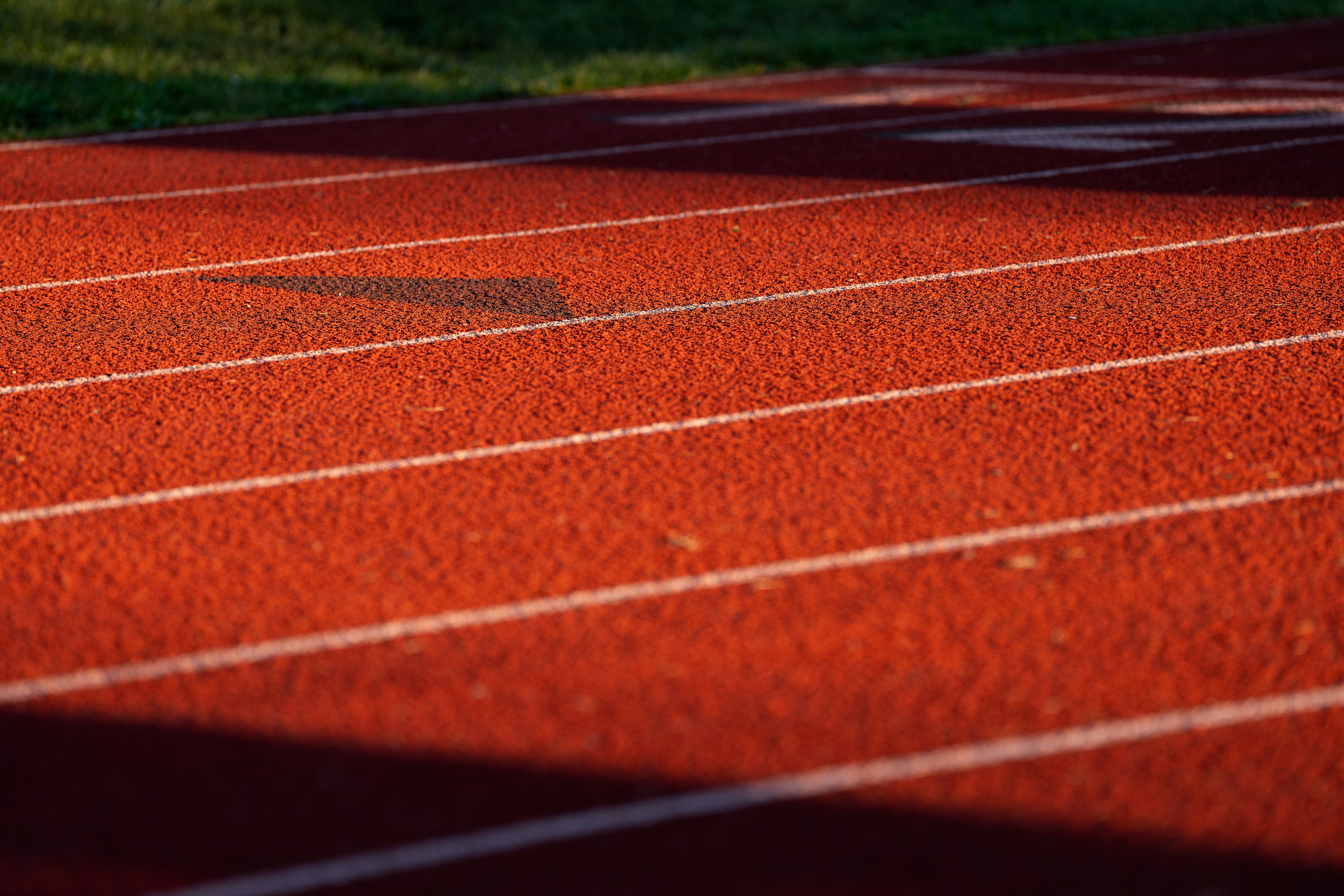 Surrounded by a Great Cloud of Witnesses