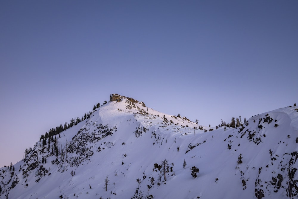 a mountain covered in snow with trees on top