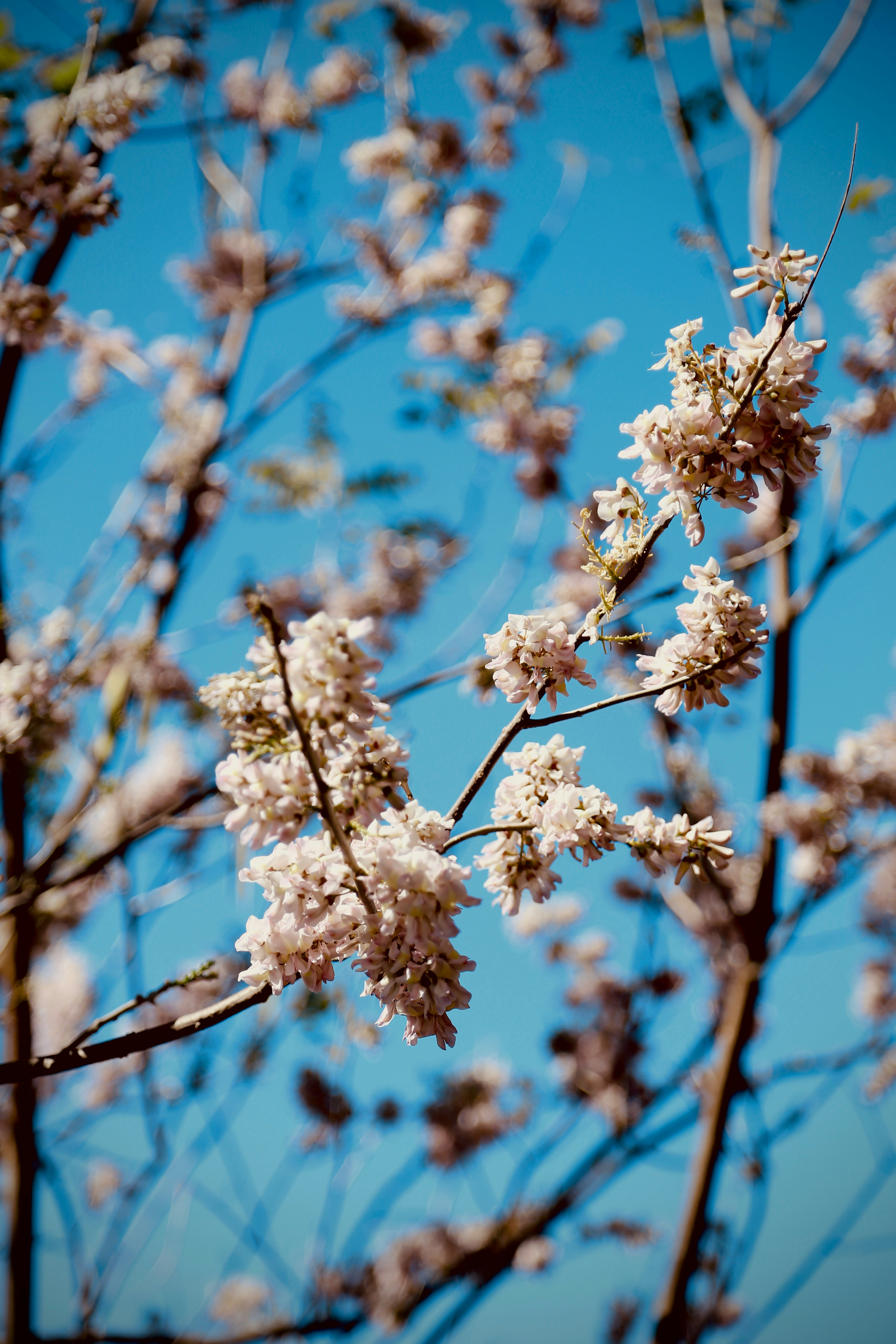 Photo by chankhang04