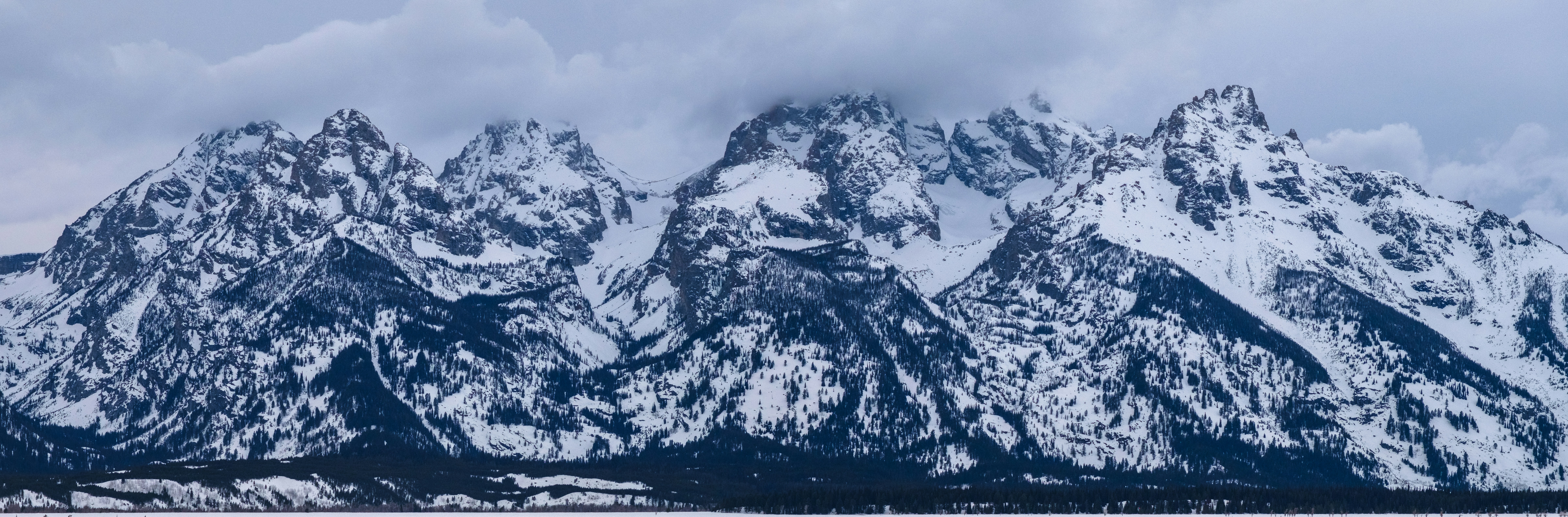 Snowy Tetons!
