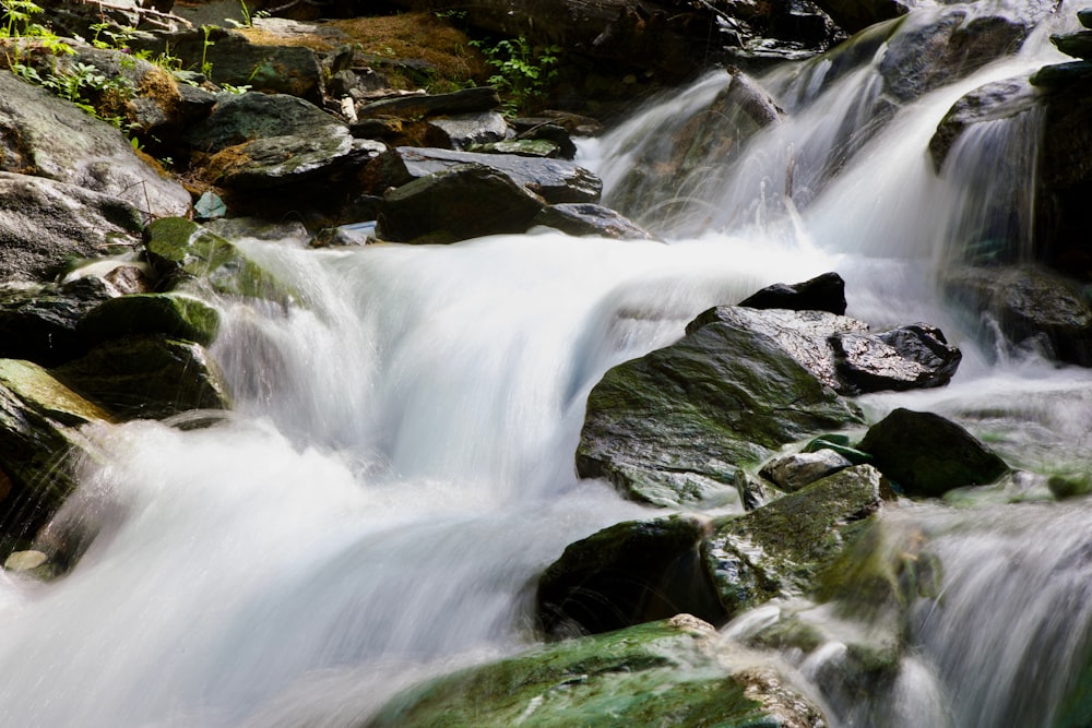 a stream of water running over rocks in a forest