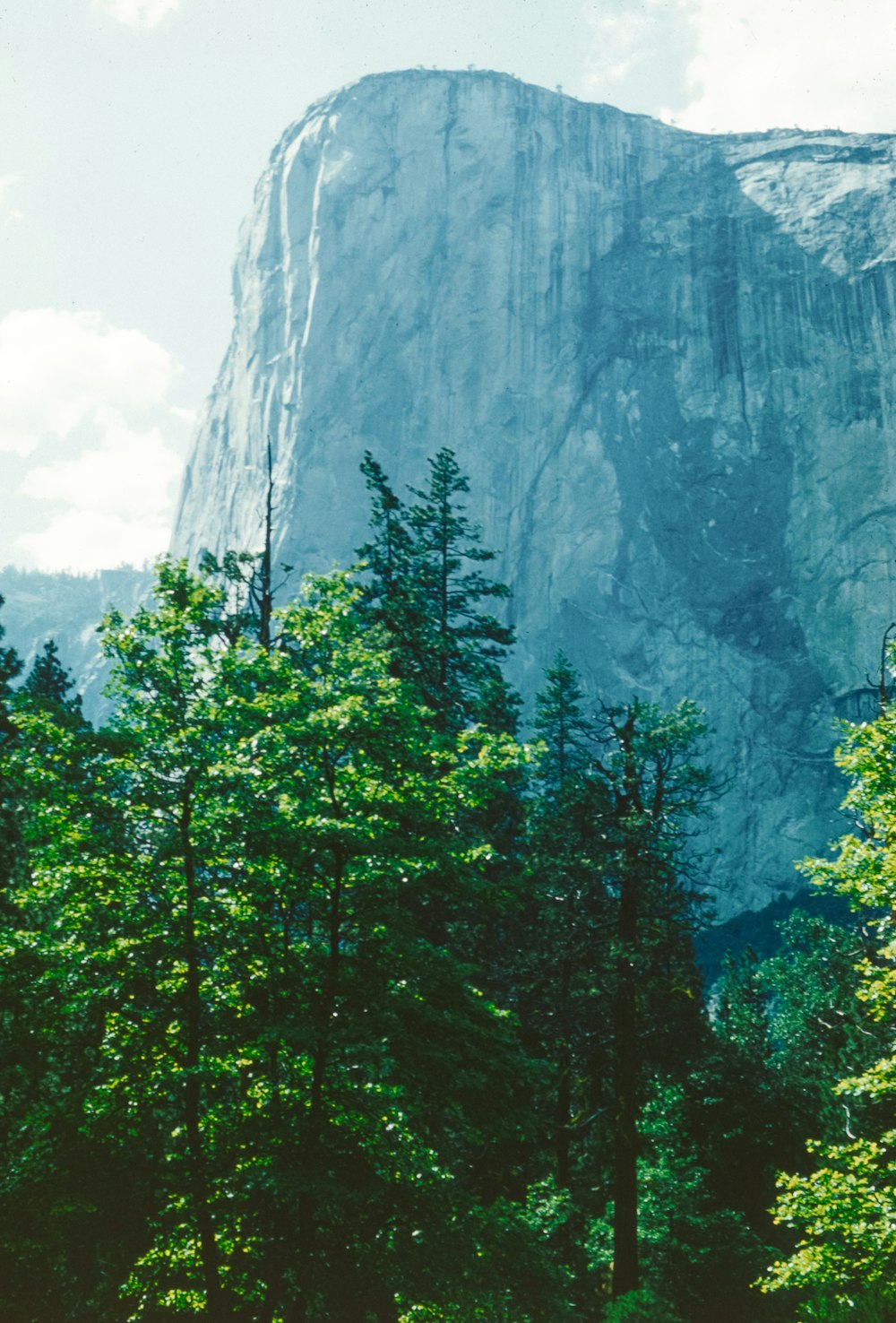 a large mountain towering over a forest filled with trees