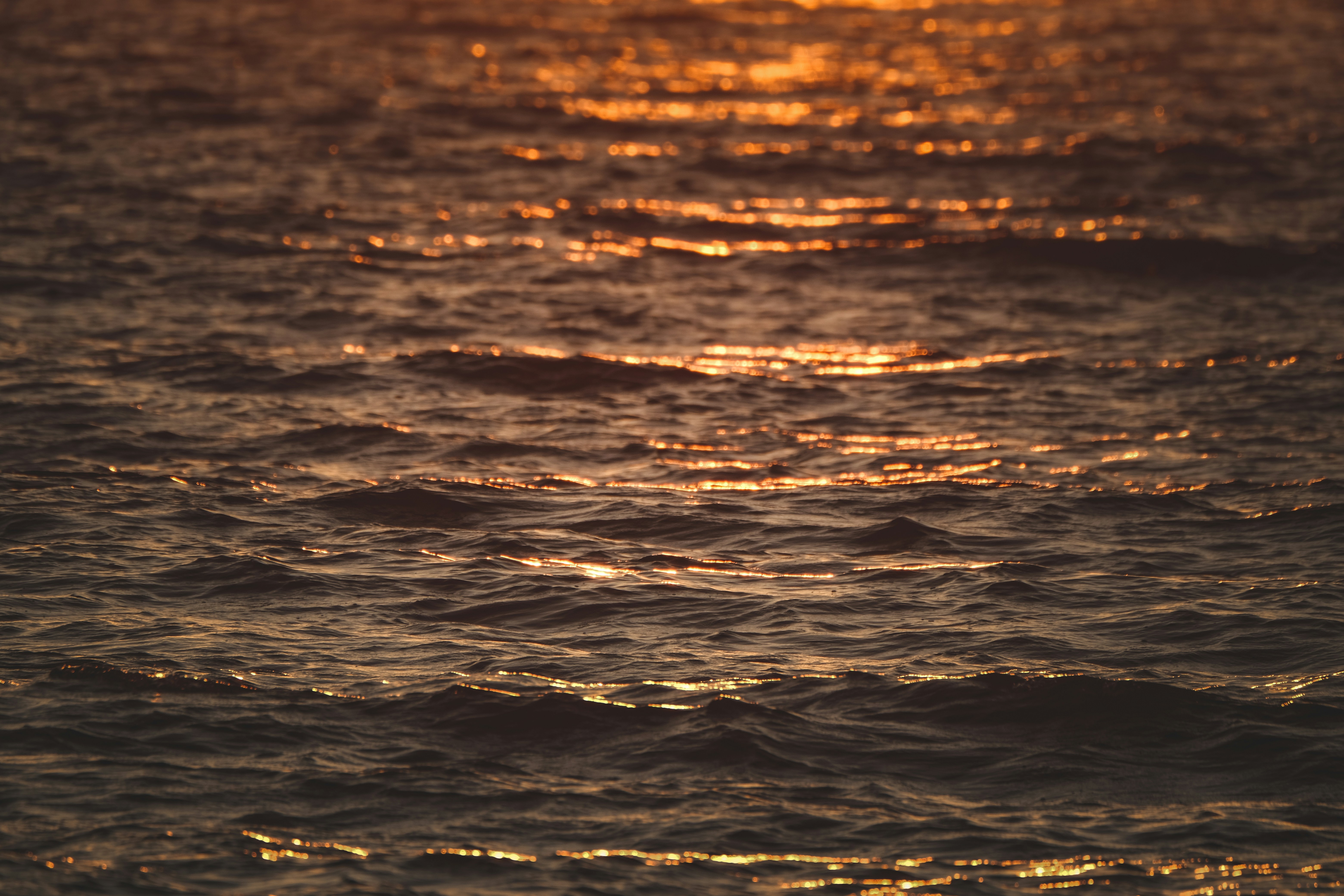 Photo by francesco_ungaro