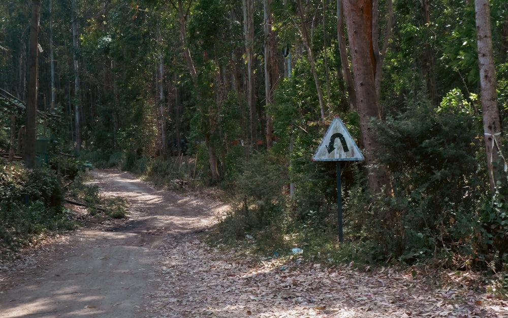 a road sign in the middle of a forest