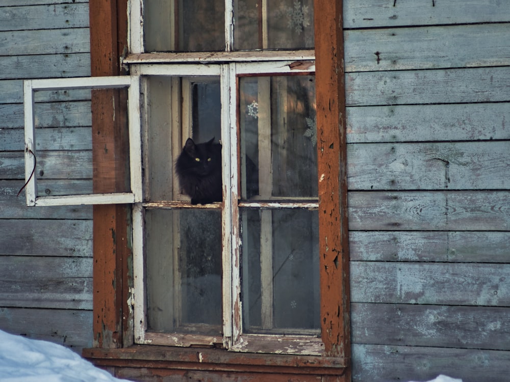 a black cat sitting in a window of a house