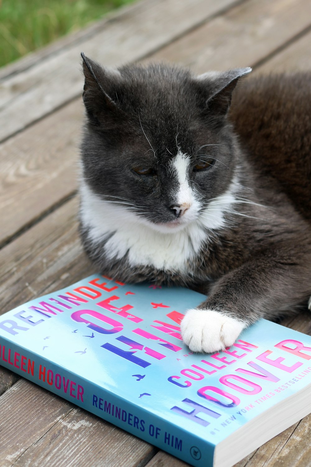 a black and white cat laying on top of a book