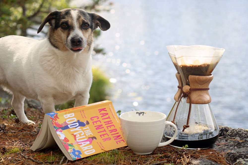 a dog standing next to a cup of coffee