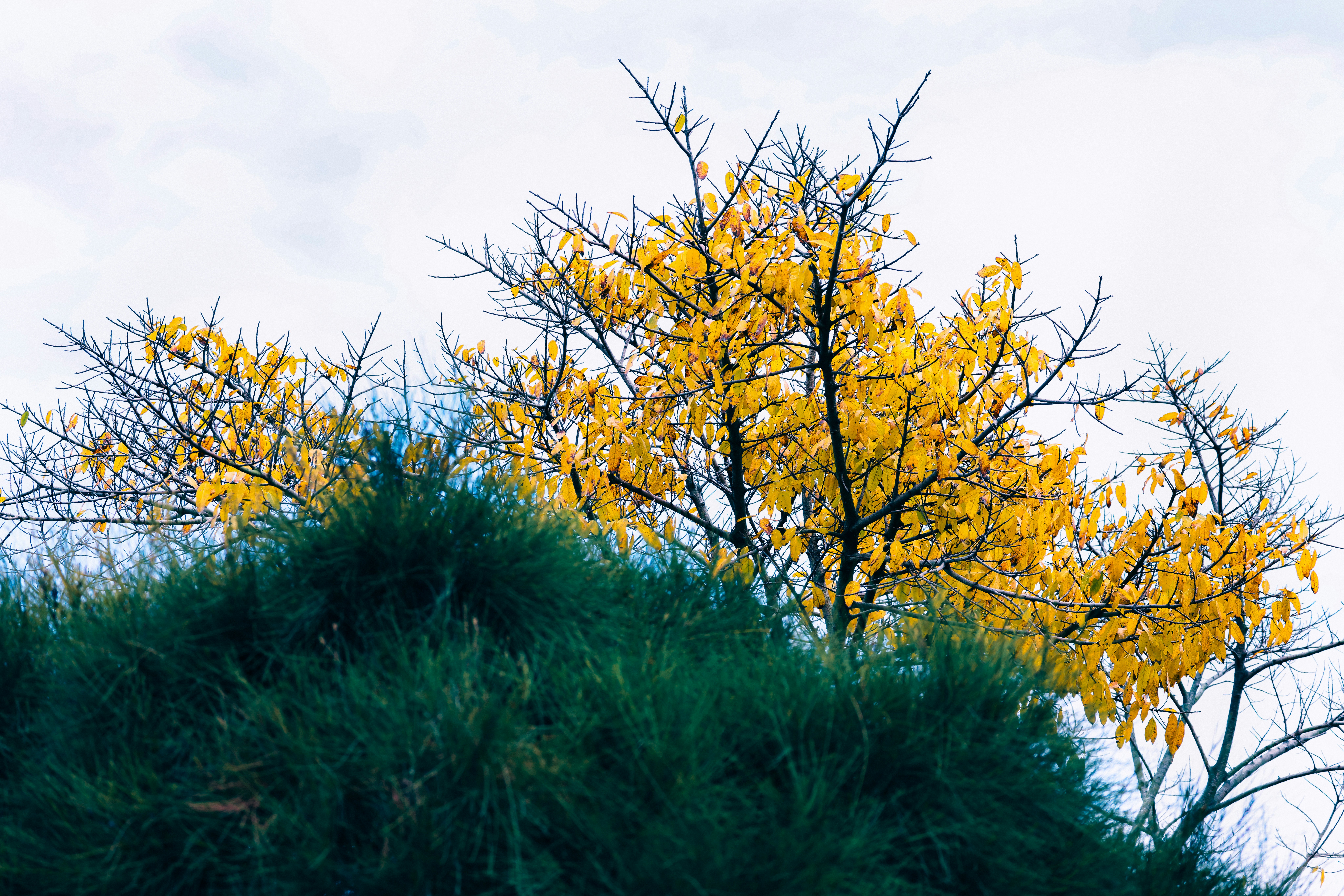 Photo by dickenslin76