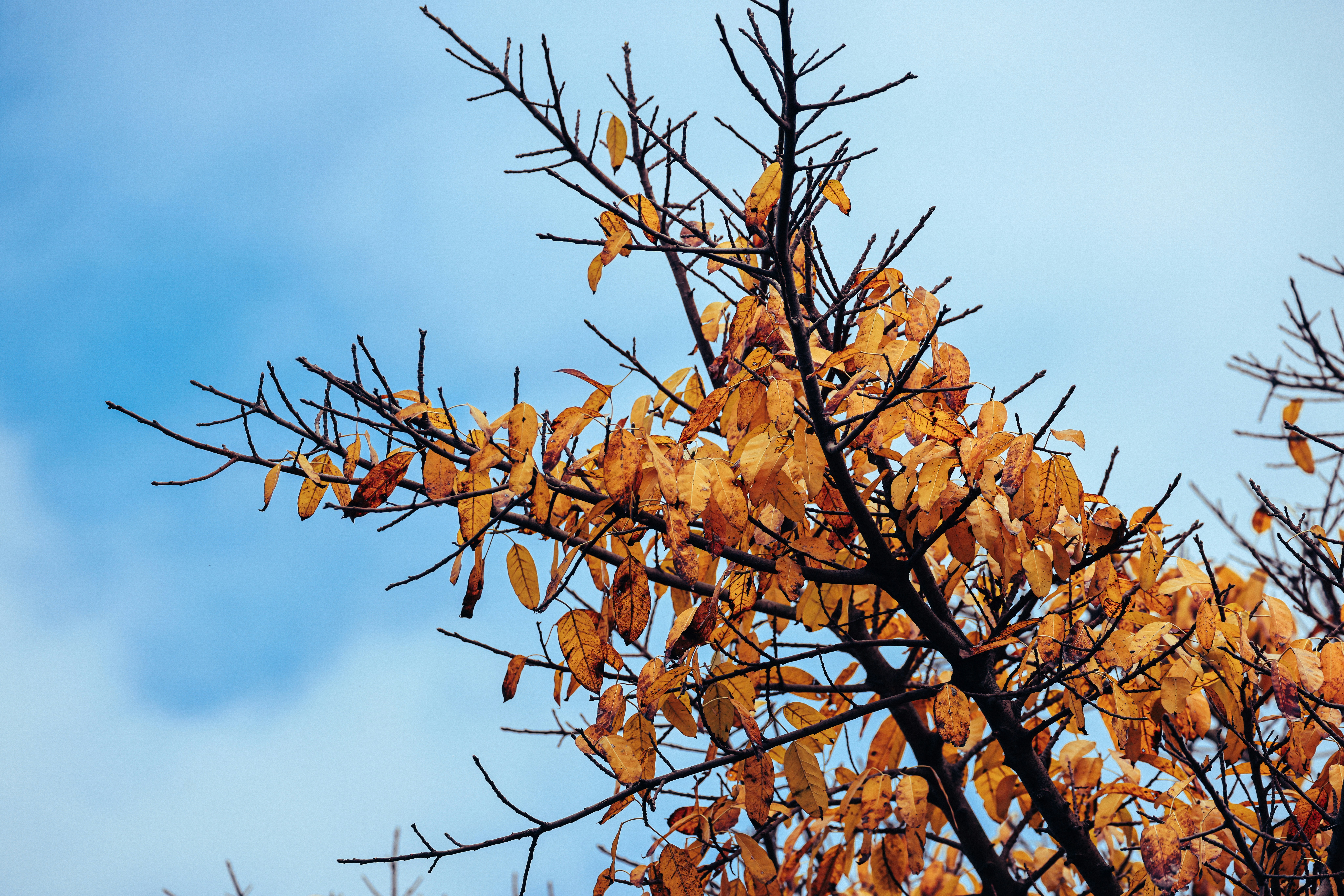 Photo by dickenslin76