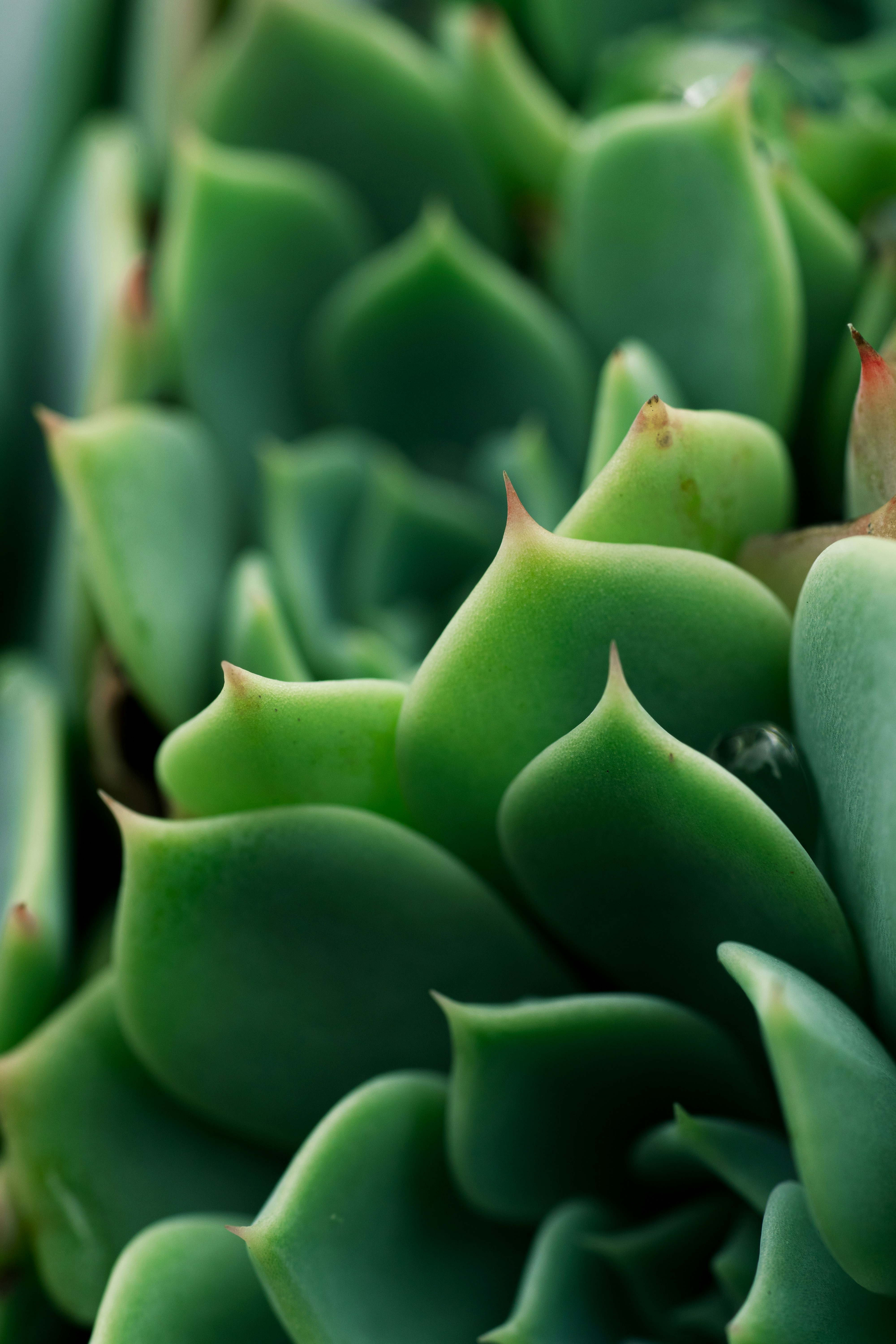 Photo by countingframez