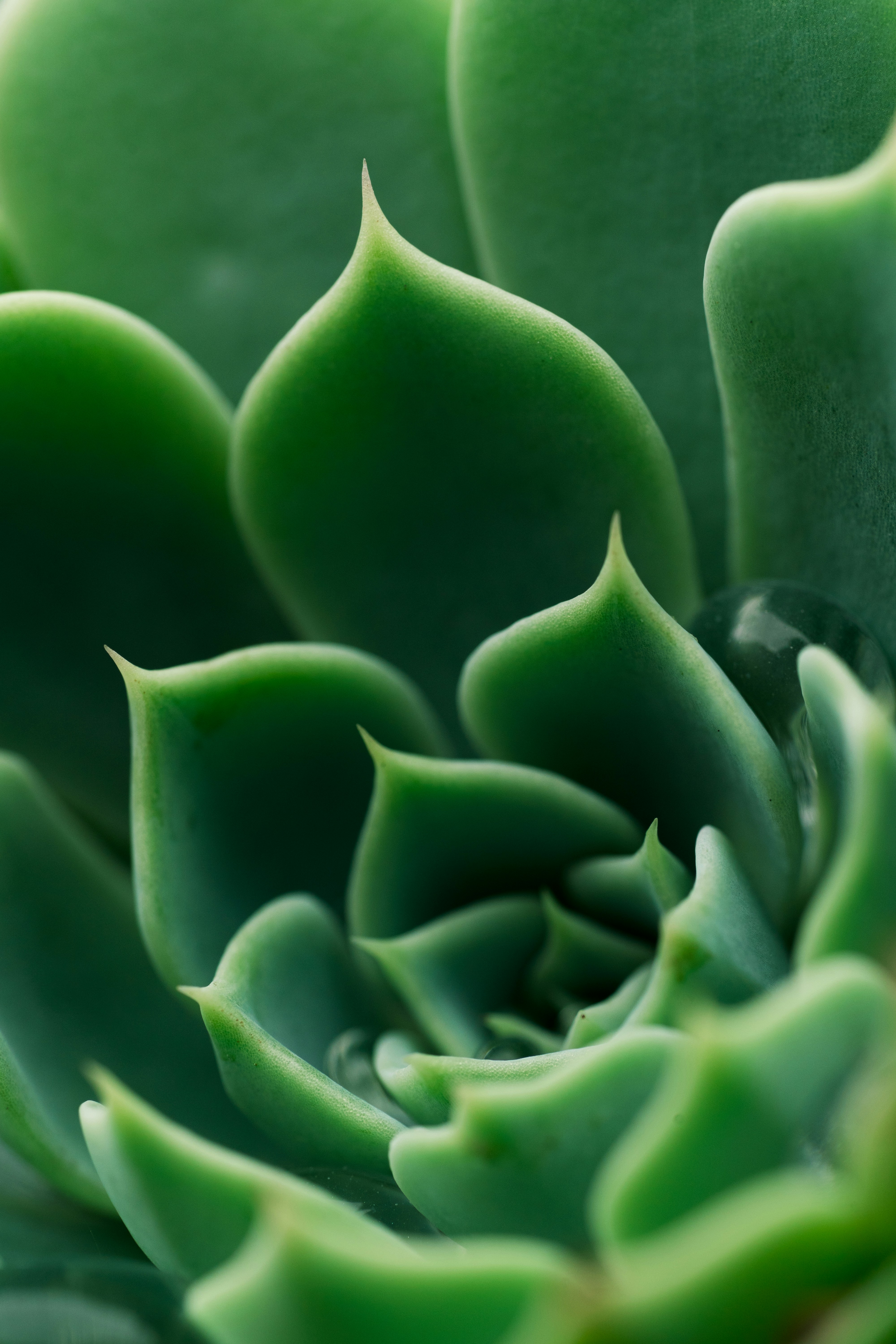 Photo by countingframez