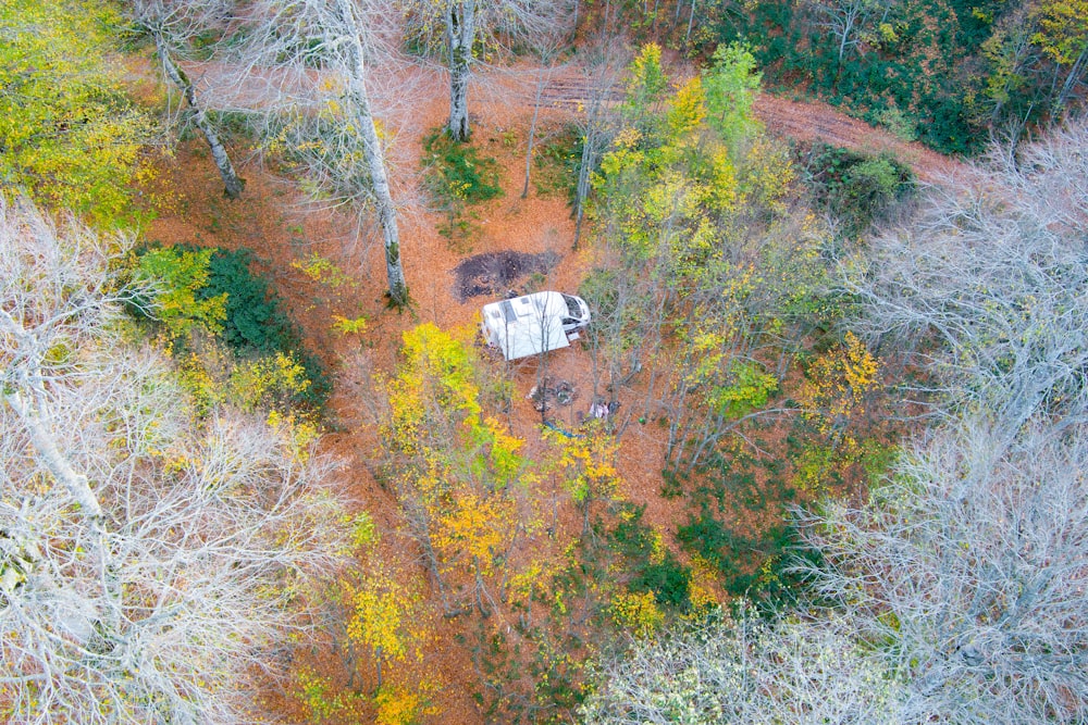 an aerial view of a truck parked in a wooded area