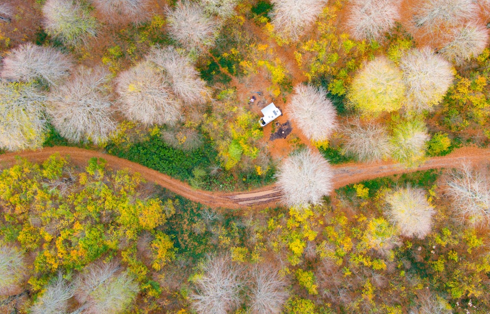 an aerial view of a dirt road surrounded by trees