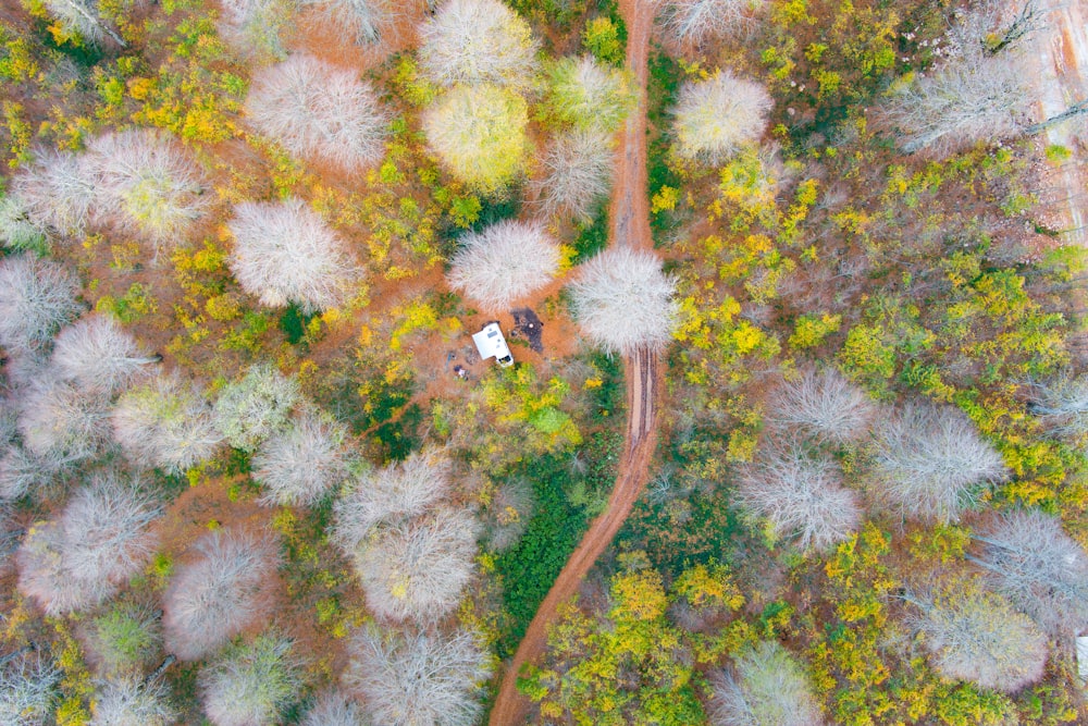 an aerial view of a small house in the middle of a forest