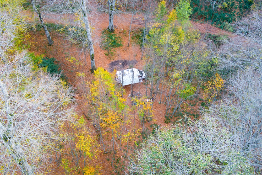 Una veduta aerea di un camper parcheggiato in un'area boschiva