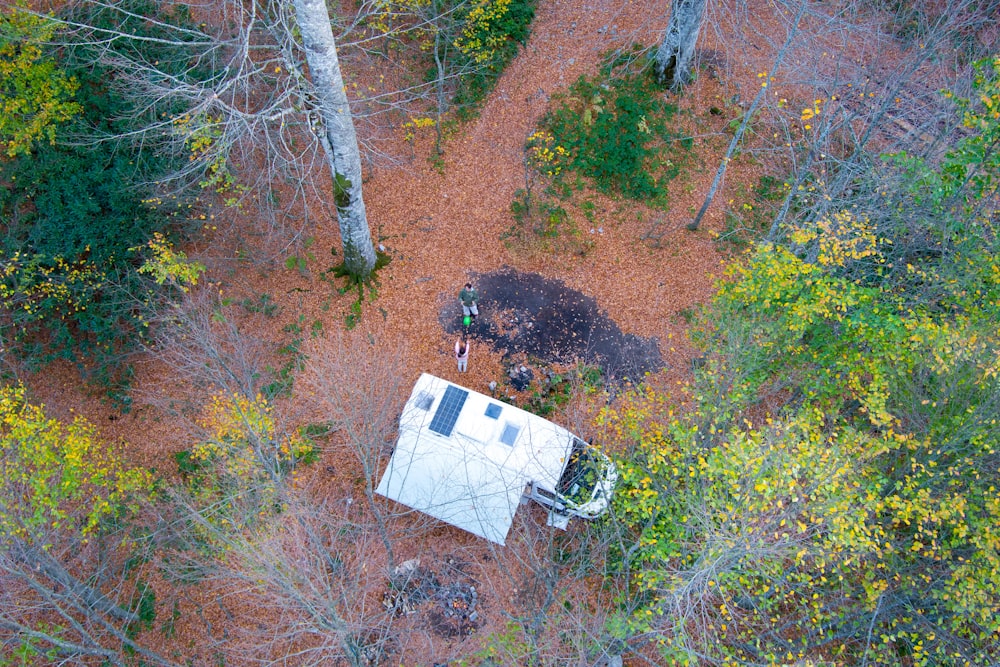 an aerial view of a house in the woods