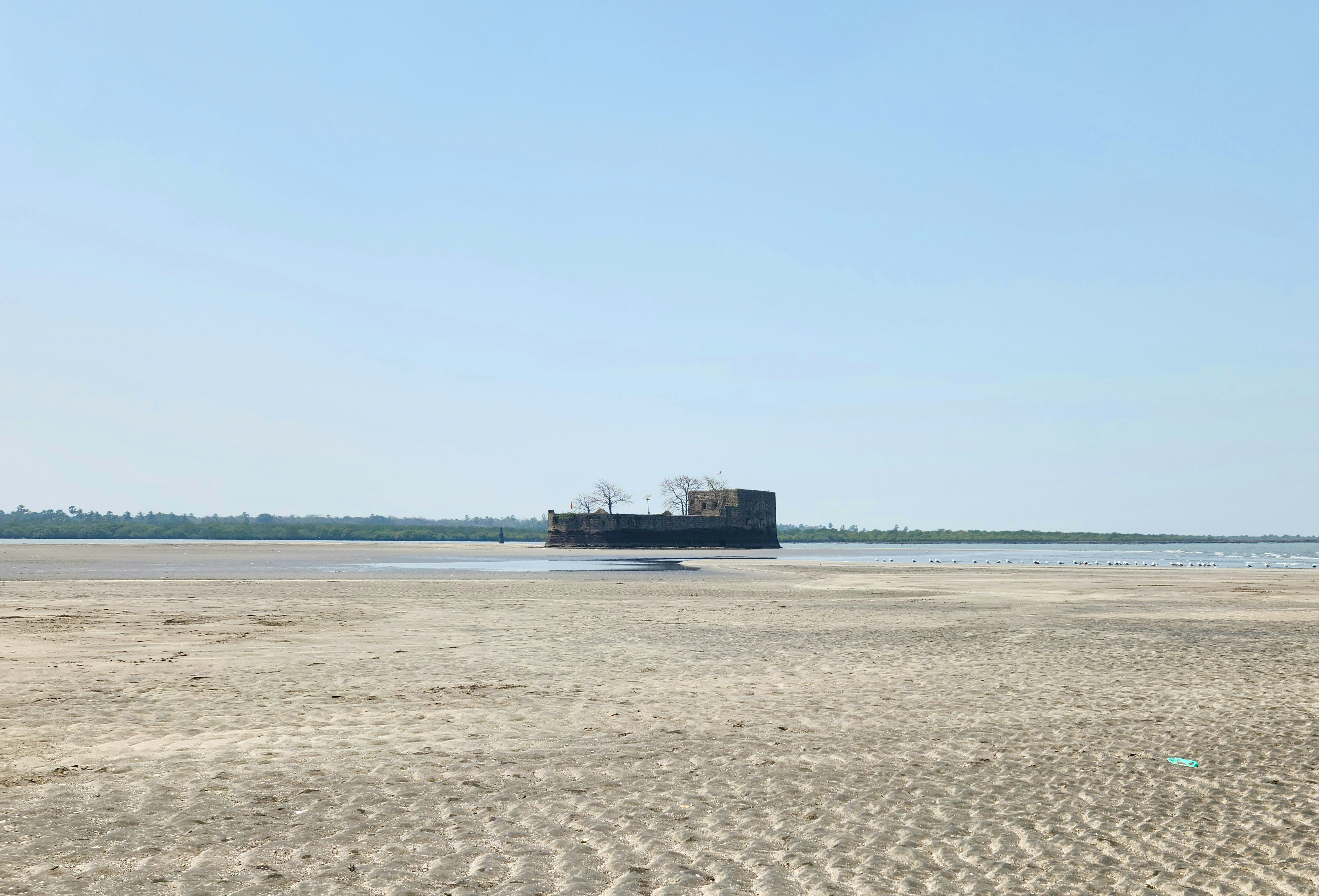A large cargo ship in the distance on a beach