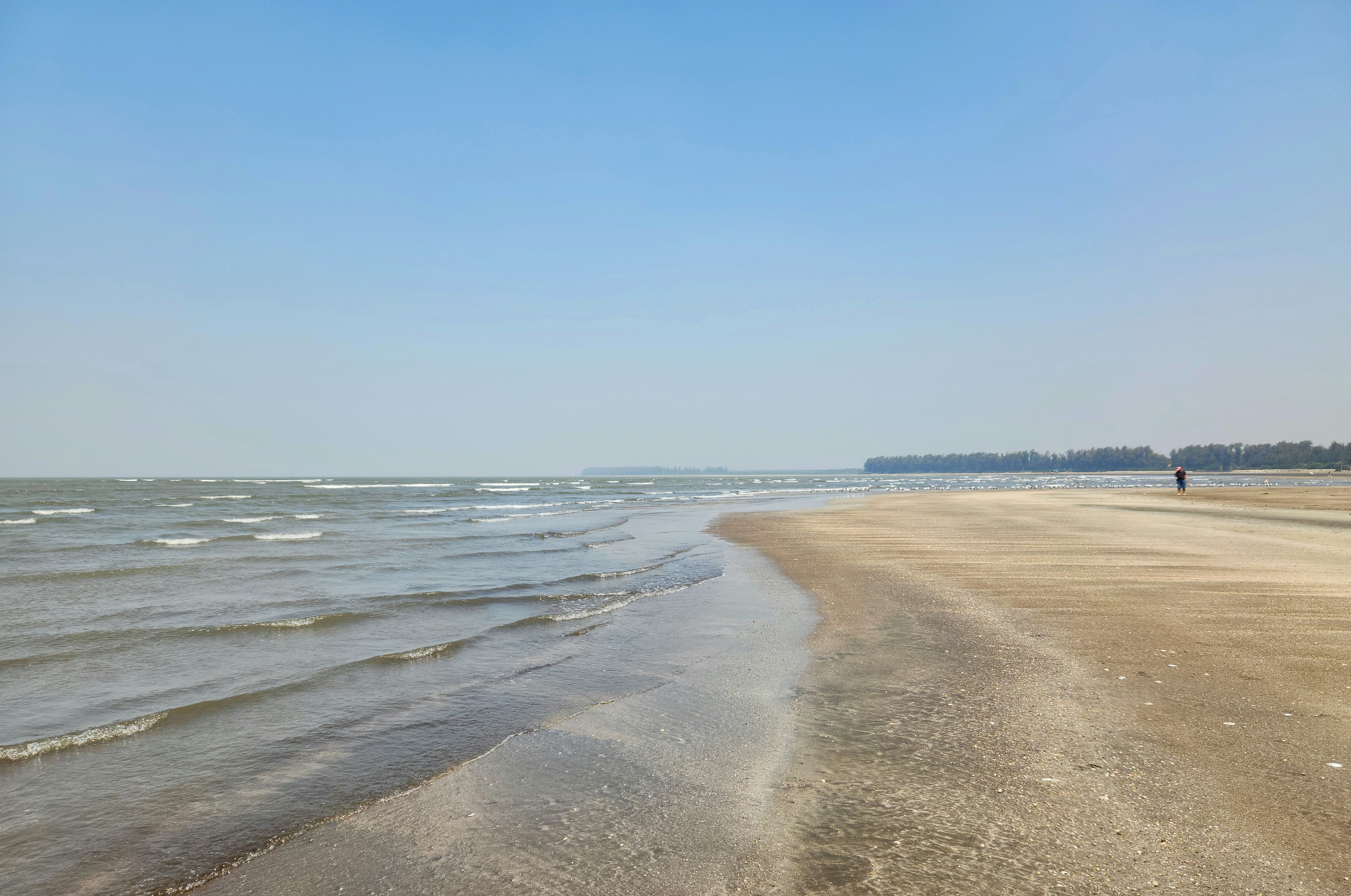 A person walking on a beach next to the ocean