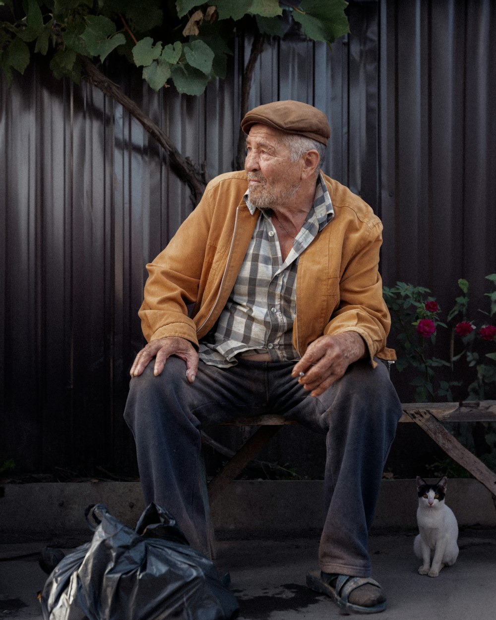 a man sitting on a bench next to a cat