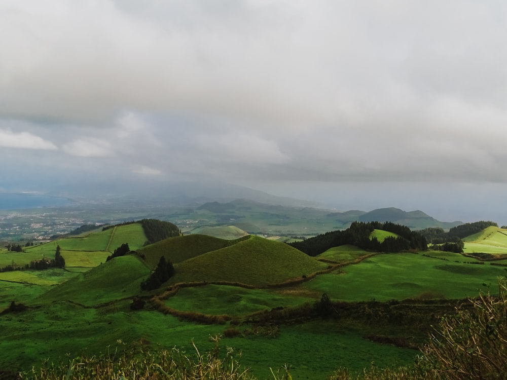 a lush green hillside covered in lush green grass