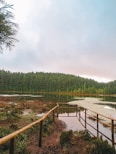 Paisagem serena de uma lagoa rodeada por árvores na Ilha de São Miguel, Açores