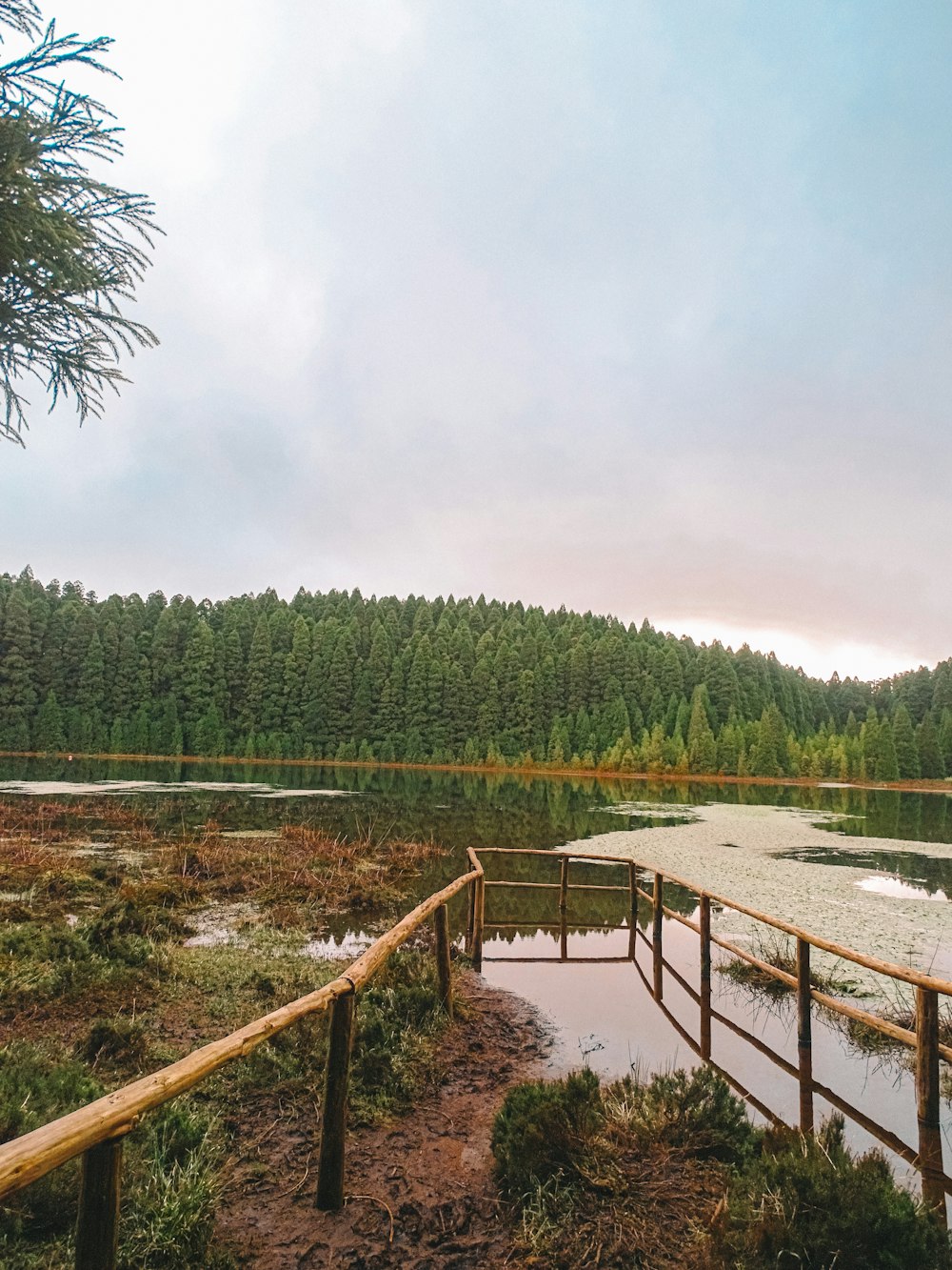 a wooden walkway leading to a body of water