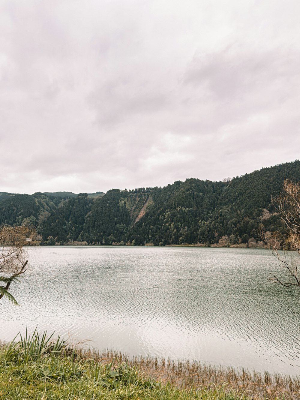 un grande specchio d'acqua circondato da una foresta