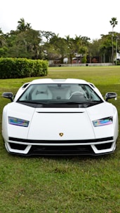 lambo florida golf course exotic car insurance