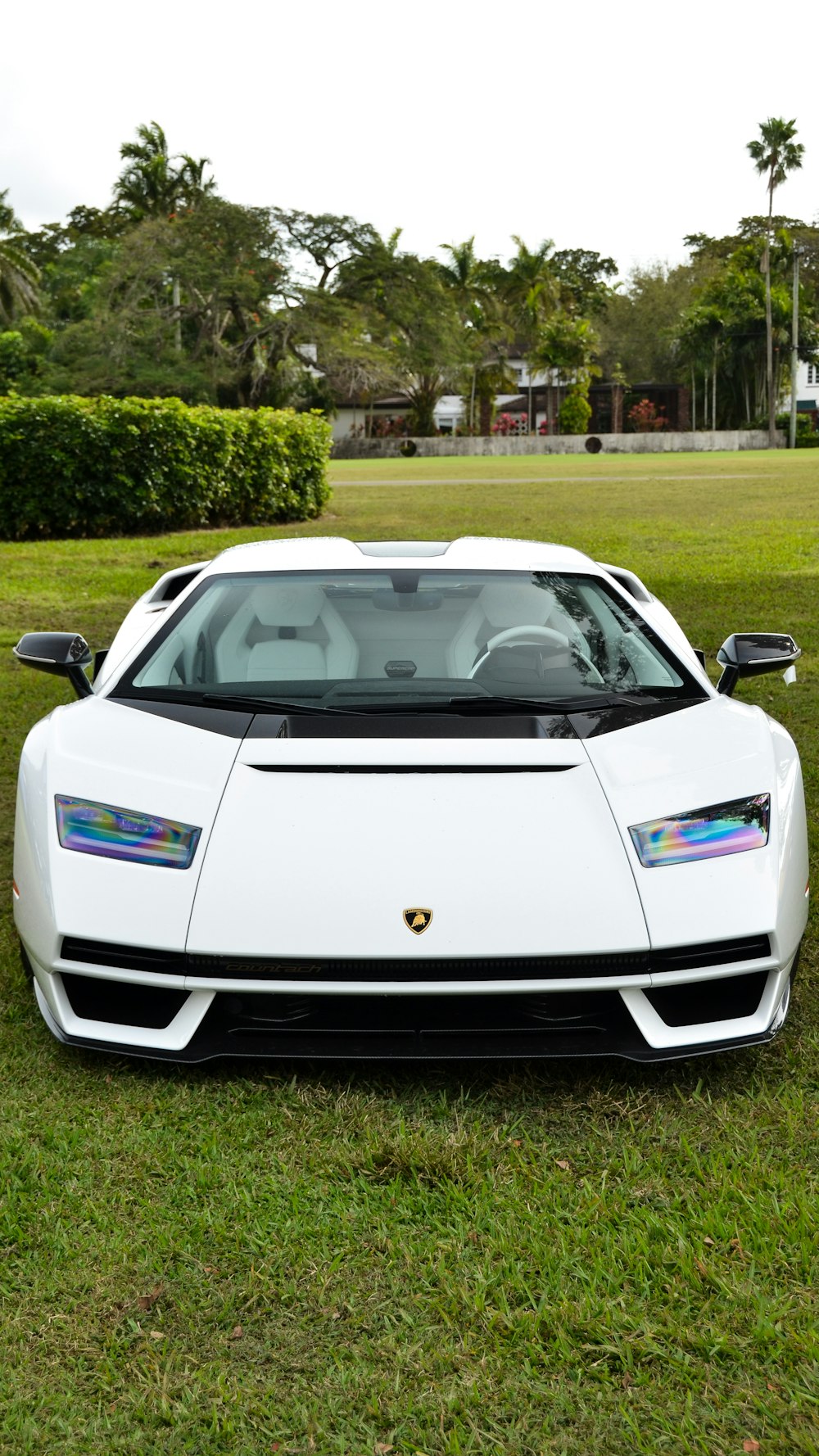 Un coche deportivo blanco aparcado en lo alto de un exuberante campo verde