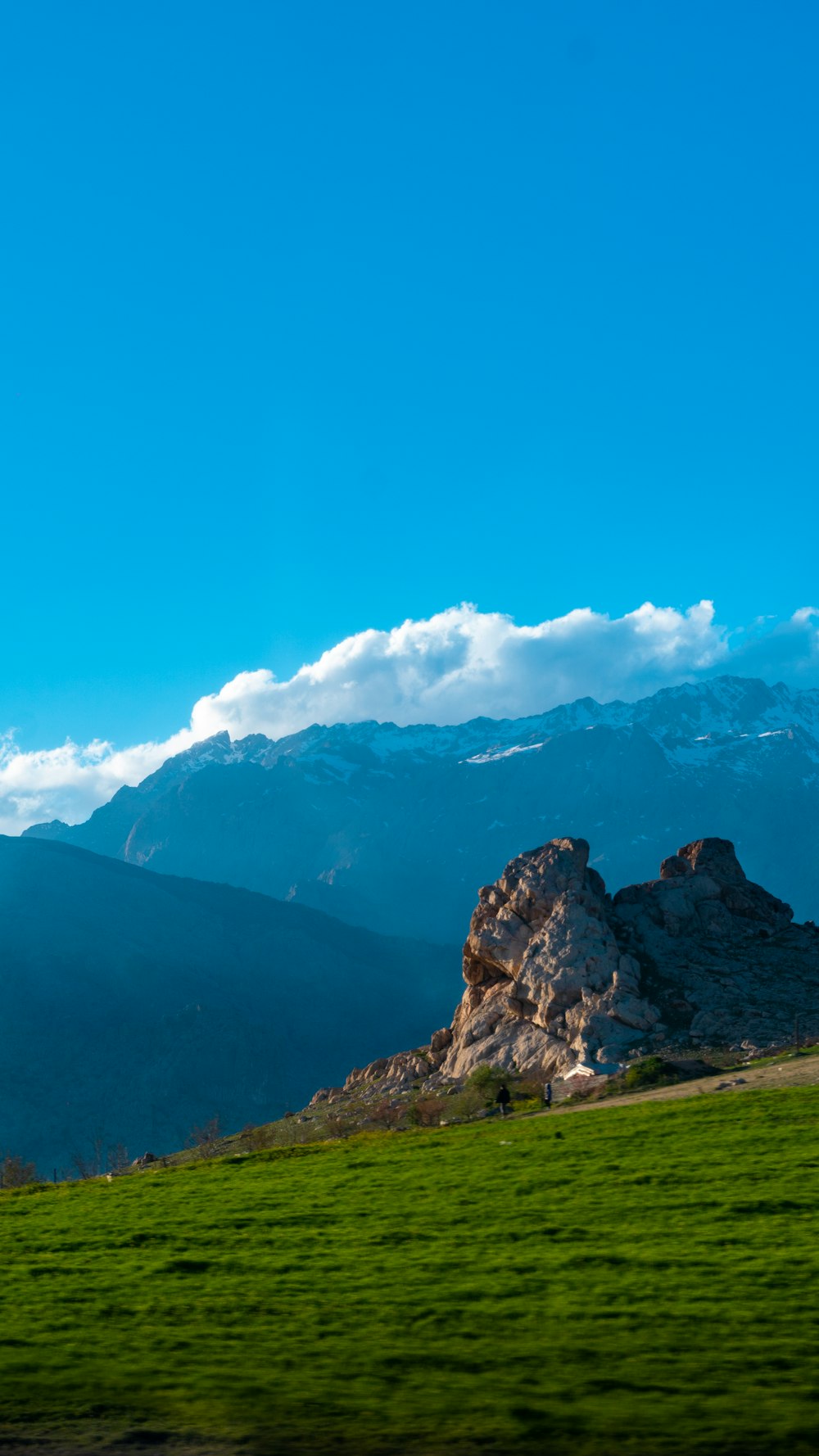 a grassy field with a mountain in the background