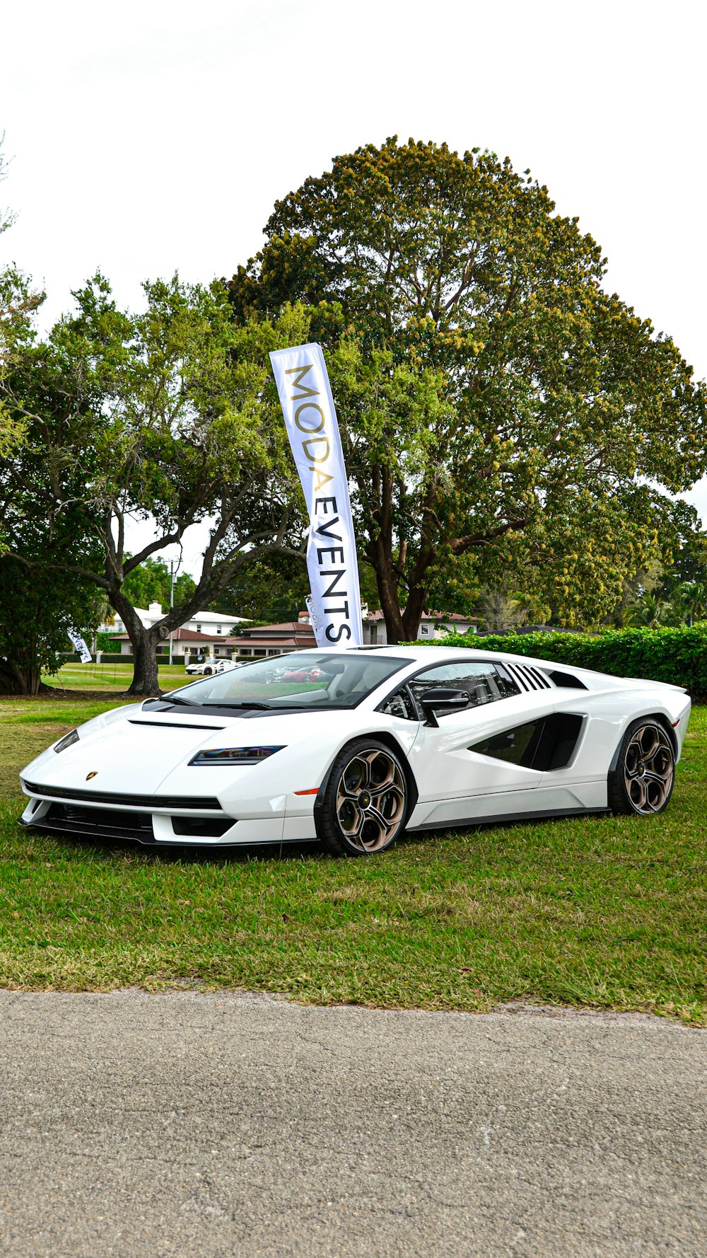 Une voiture de sport blanche garée dans l’herbe