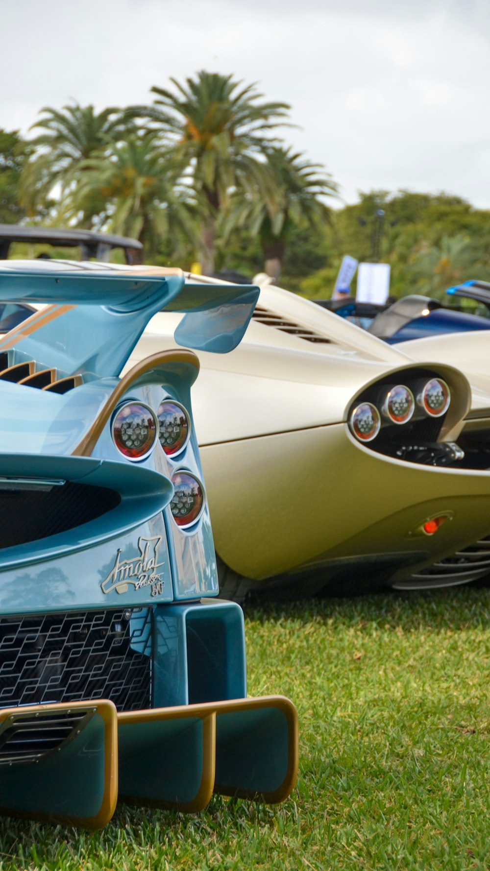 a blue car parked next to a white car on top of a lush green field