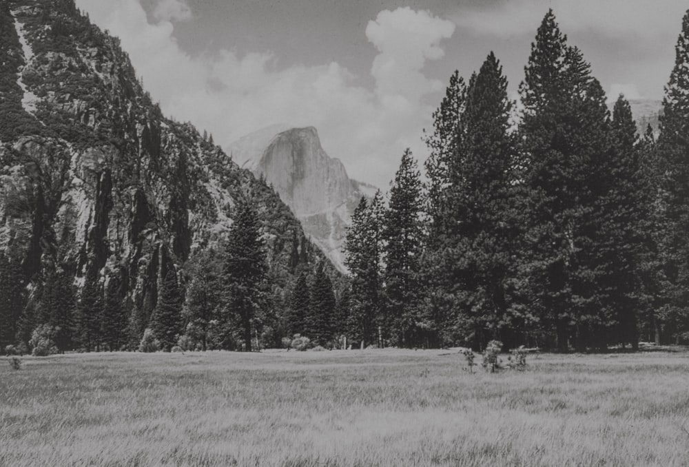 a black and white photo of mountains and trees