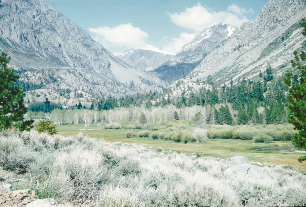 a scenic view of a valley with mountains in the background