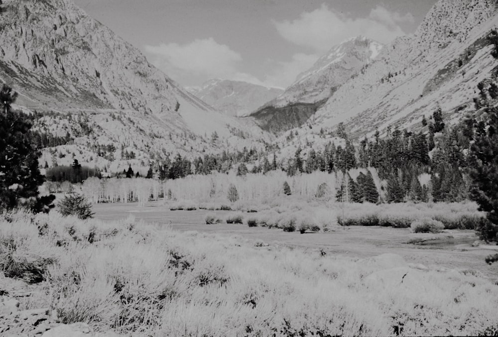 a black and white photo of a mountain range