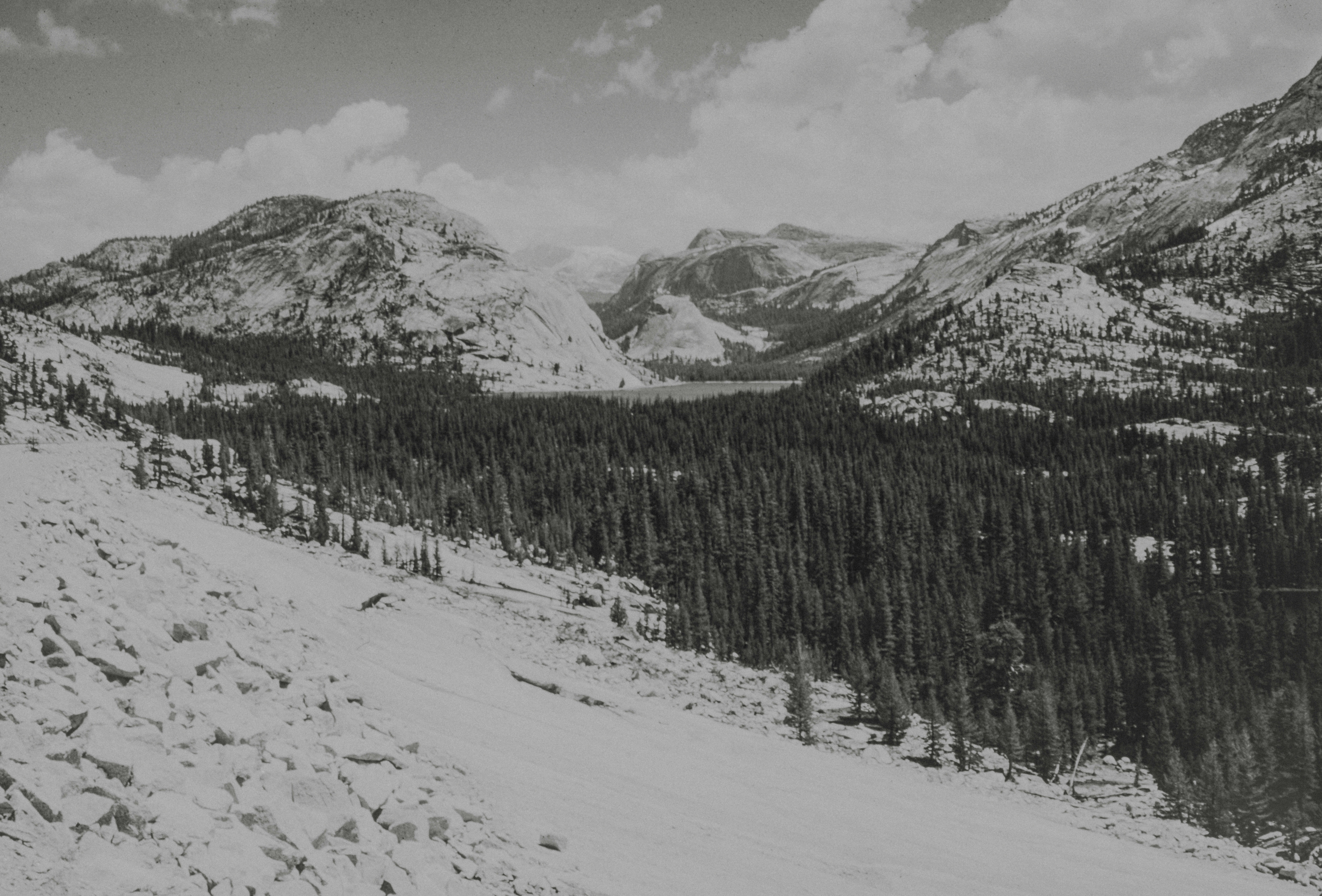 Photo by anniespratt