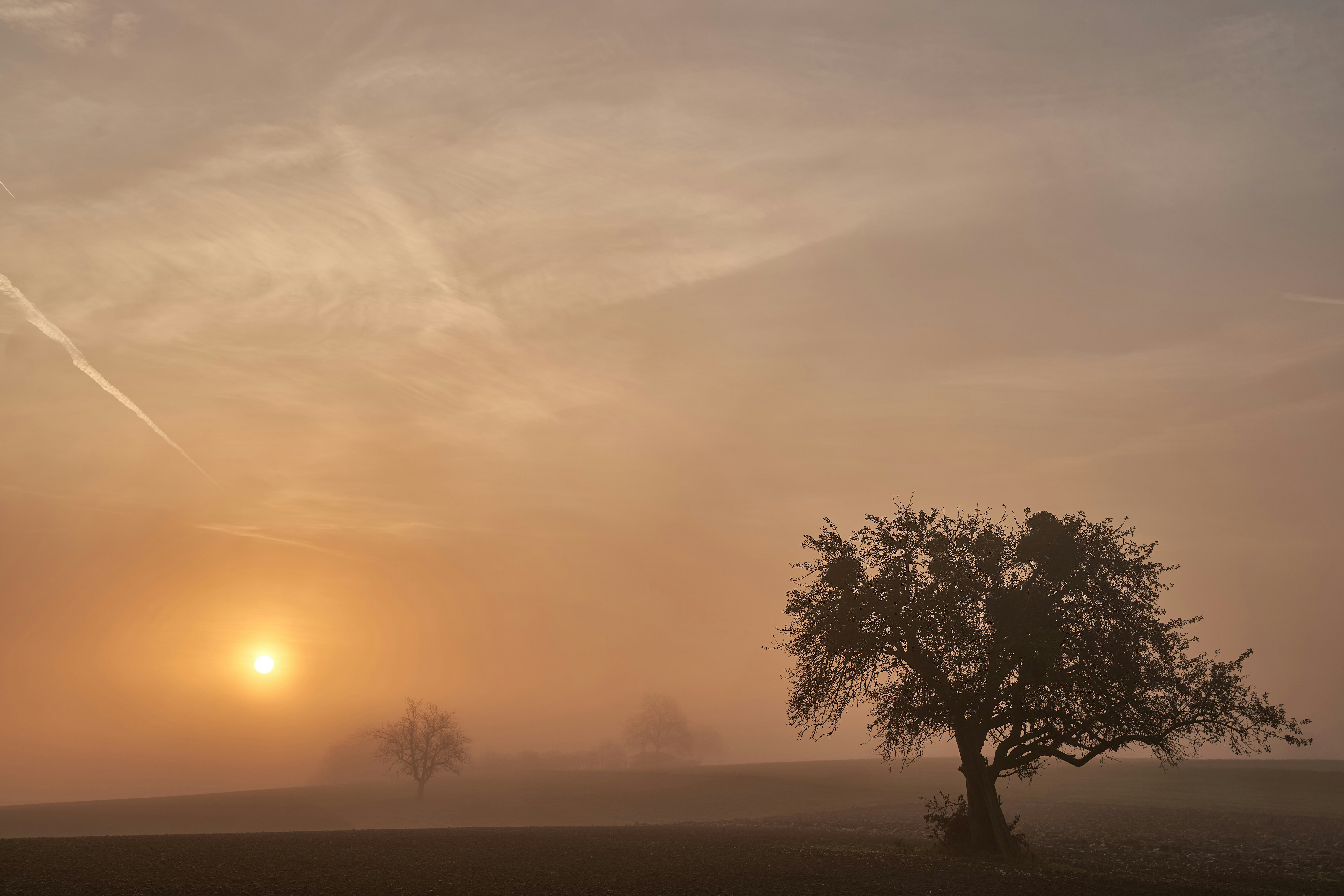 Photo by wolfgang_hasselmann