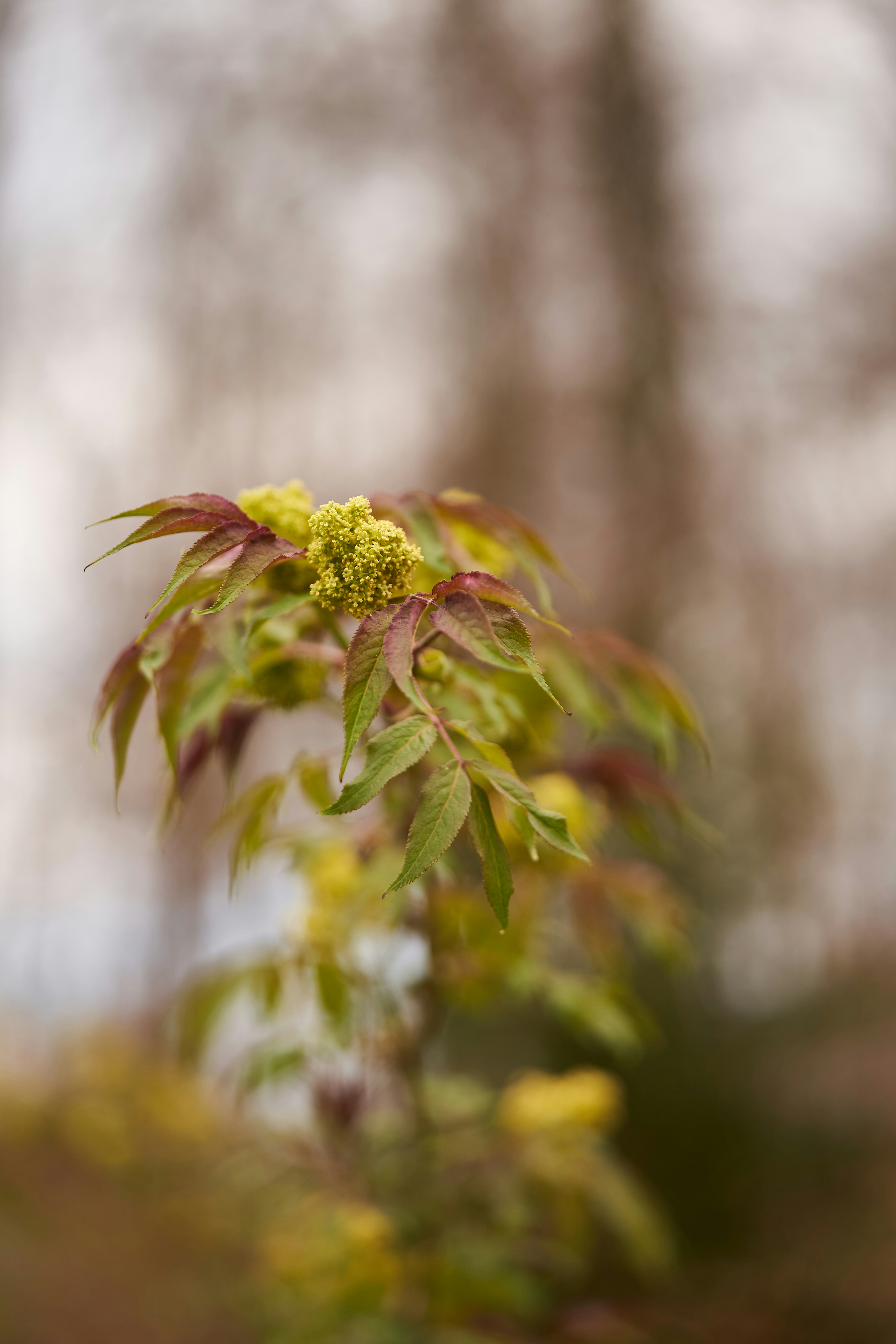 Photo by wolfgang_hasselmann